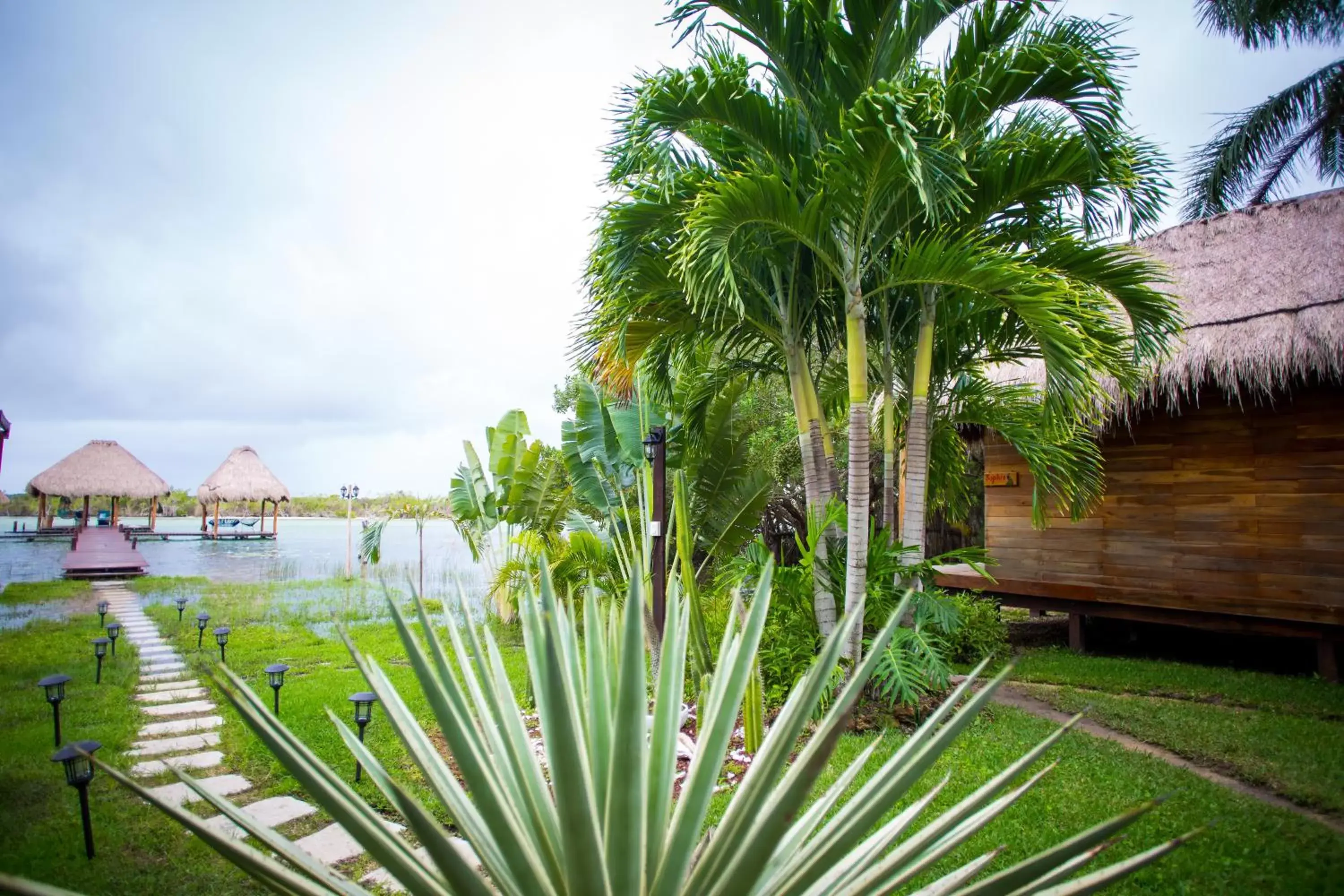 Garden in Casa Shiva Bacalar by MIJ