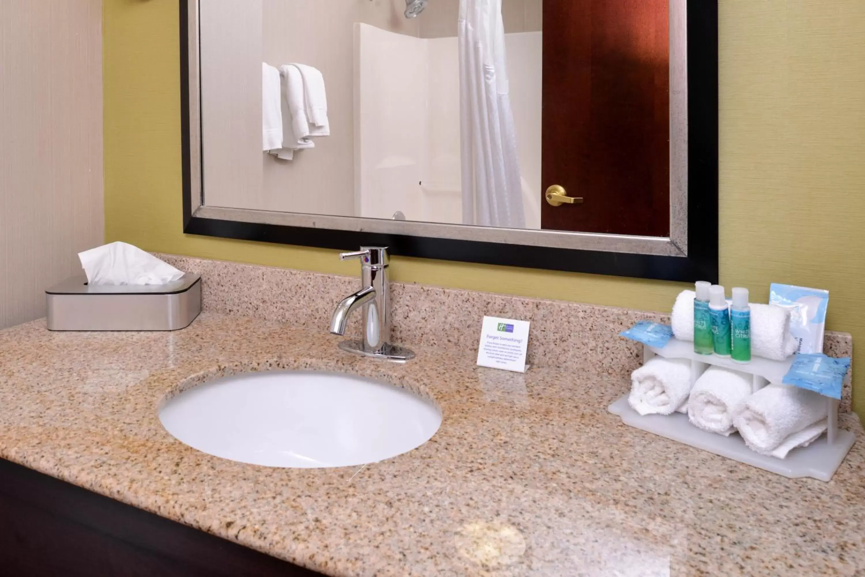 Bathroom in Holiday Inn Express Hotel & Suites Youngstown - North Lima/Boardman, an IHG Hotel