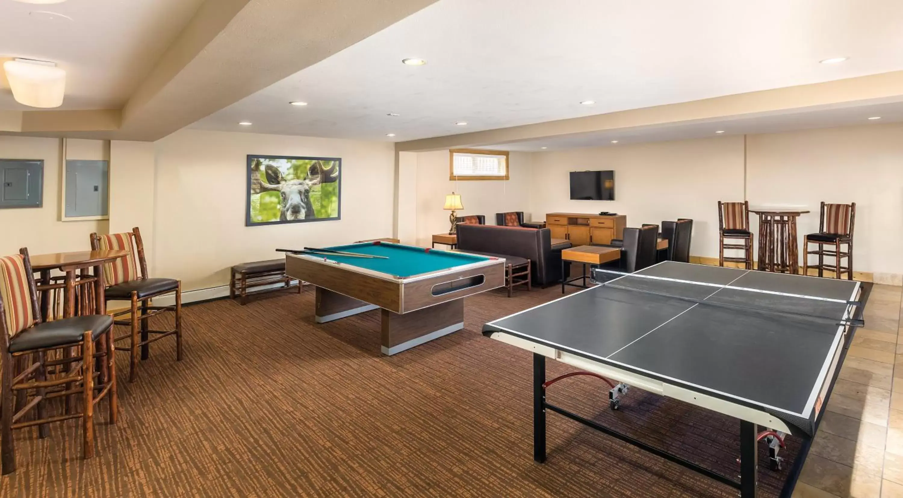 Activities, Table Tennis in WorldMark Estes Park