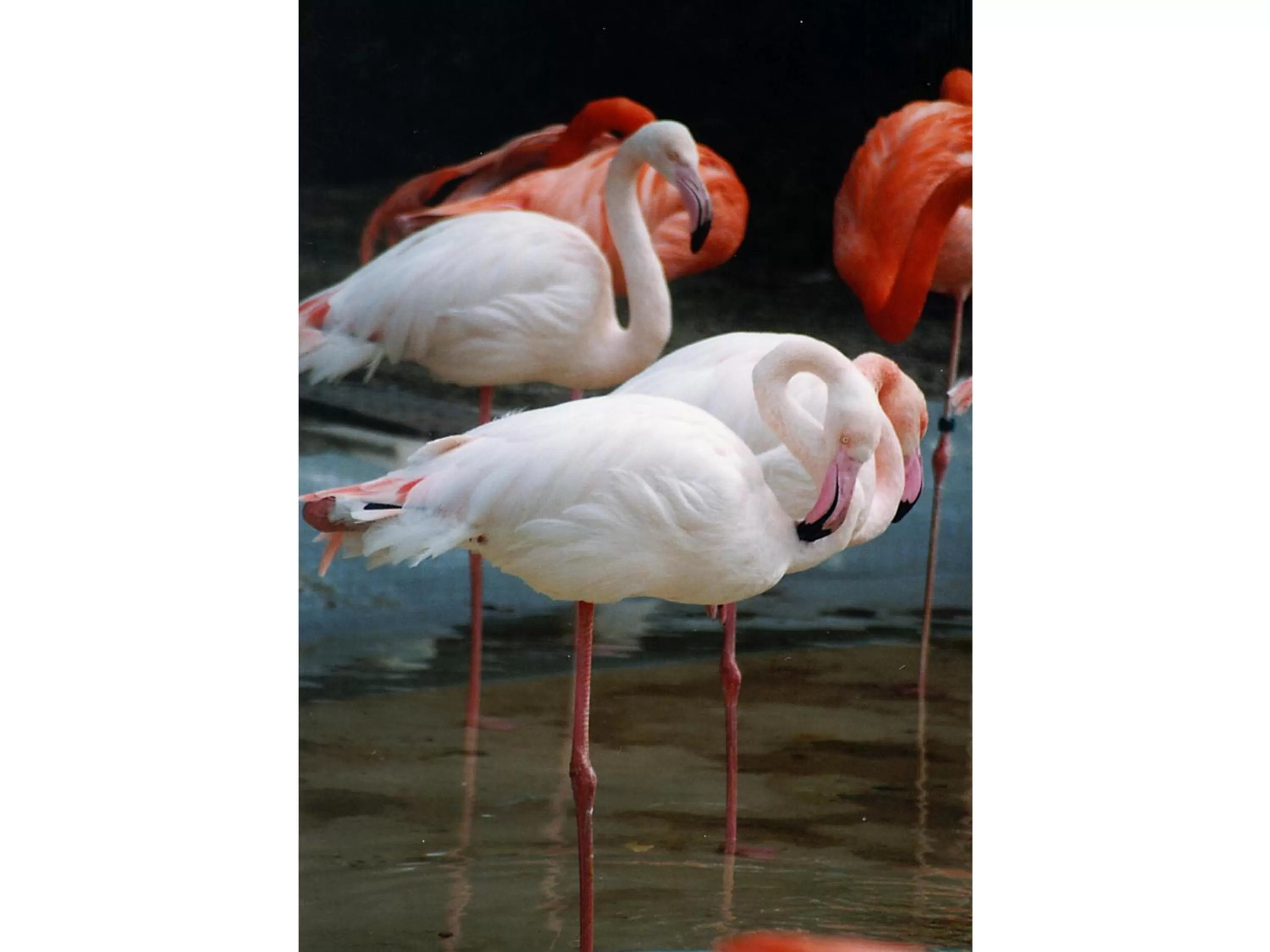 Nearby landmark in Hotel Wing International Select Osaka Umeda