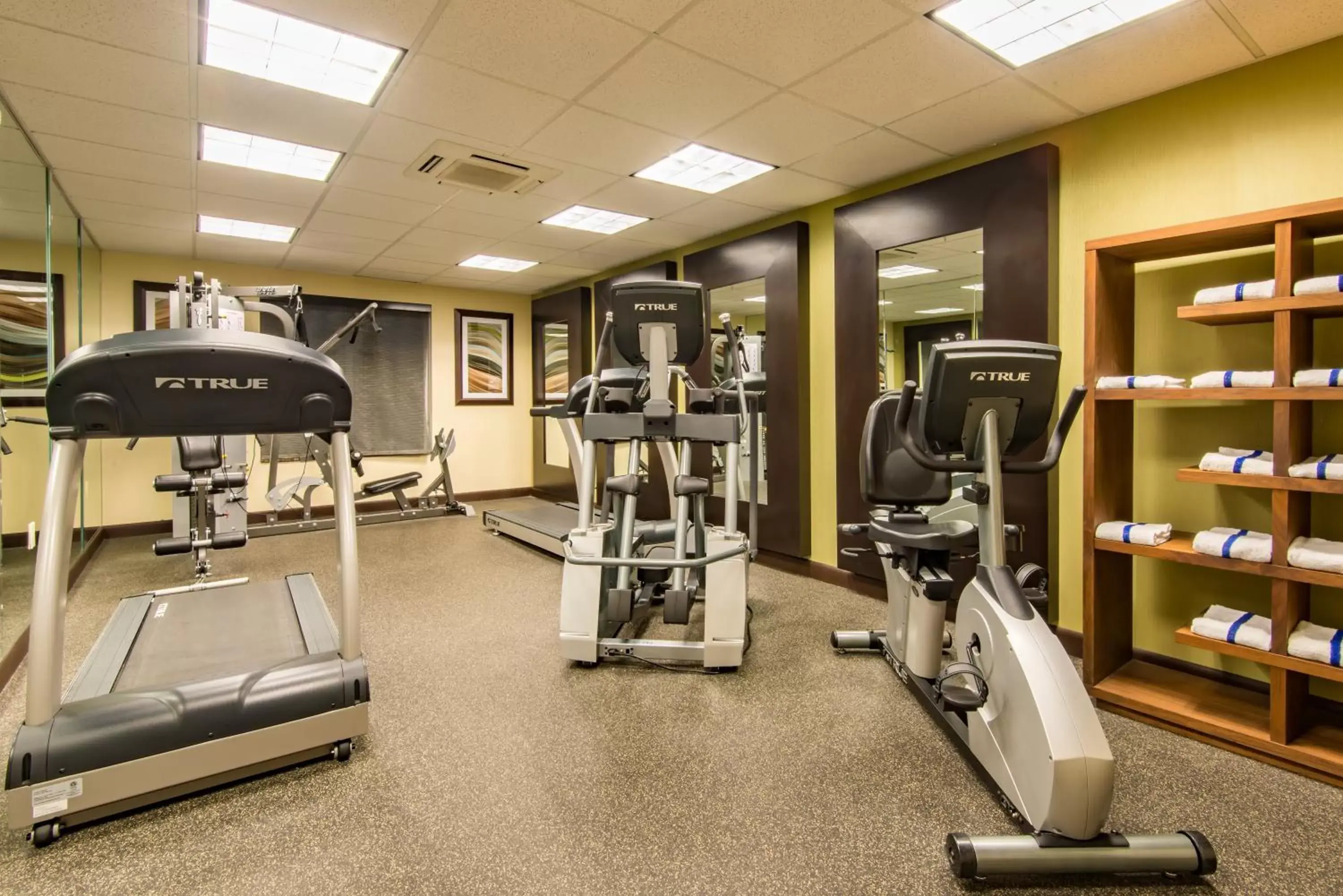 Fitness centre/facilities, Fitness Center/Facilities in Holiday Inn Express Hotel & Suites Hobbs, an IHG Hotel