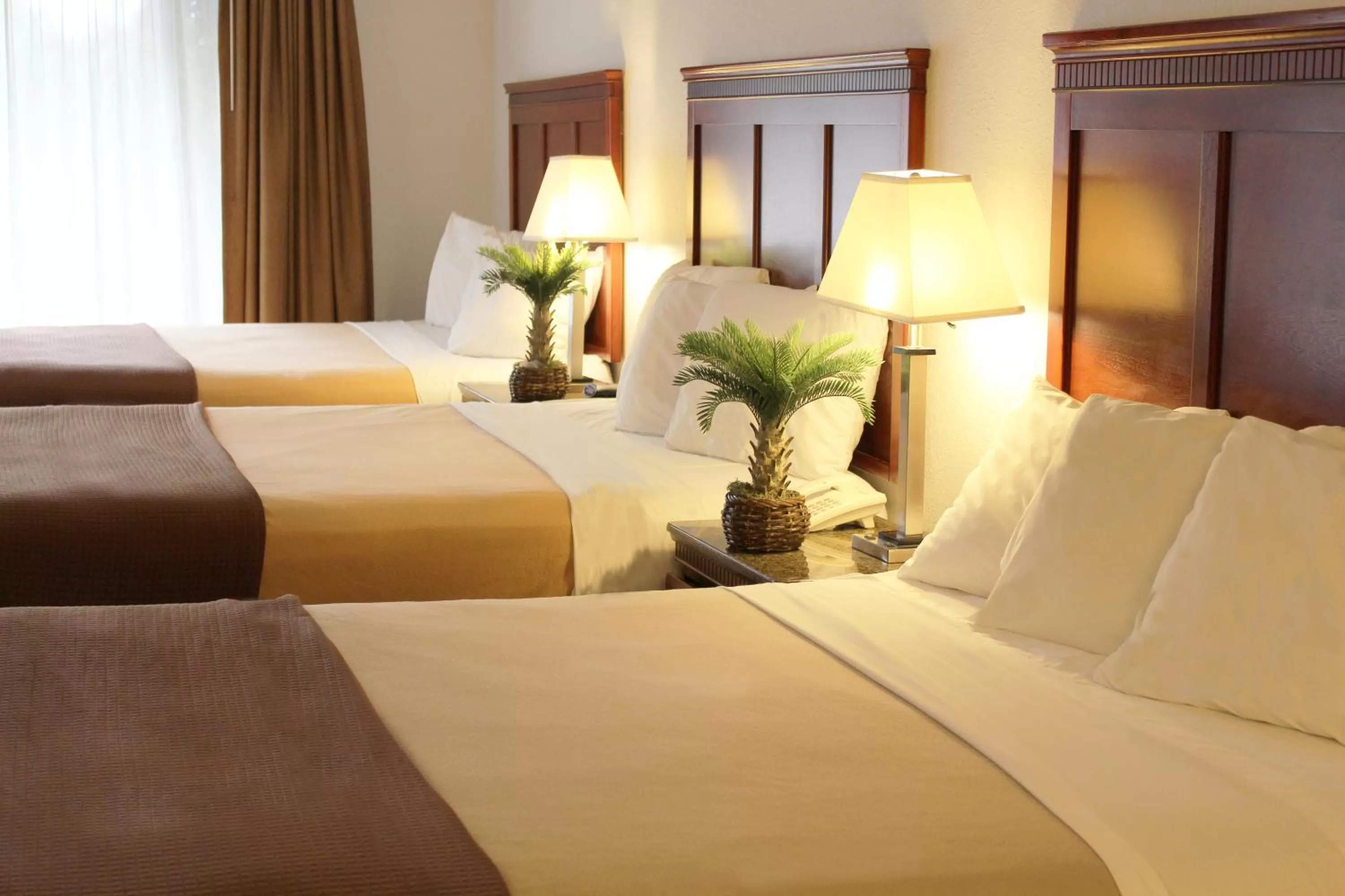 Bedroom, Bed in Rodeway Inn Santa Clara El Camino Real