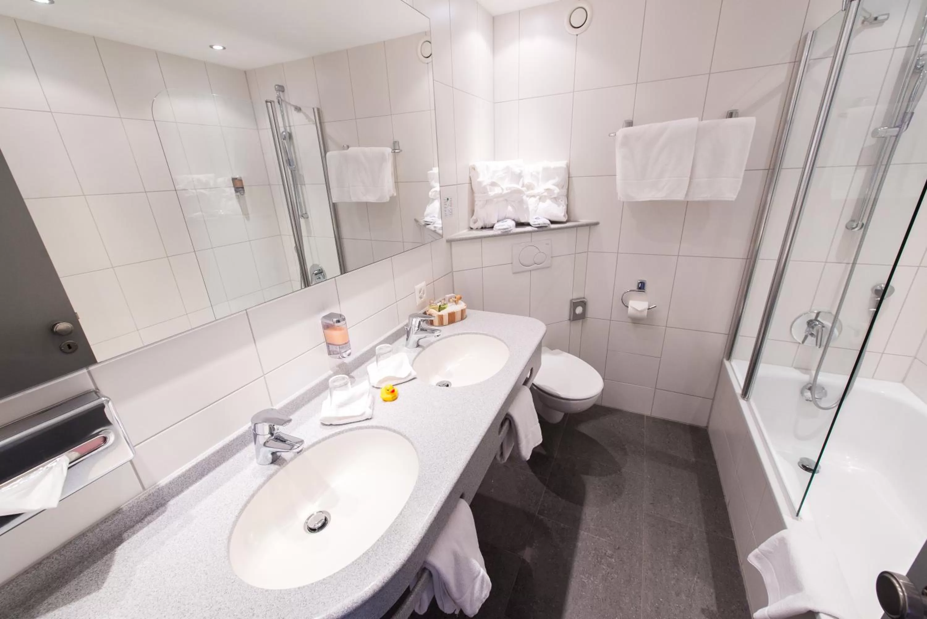 Double or Twin Room Standard in b-smart hotel Schönenwerd