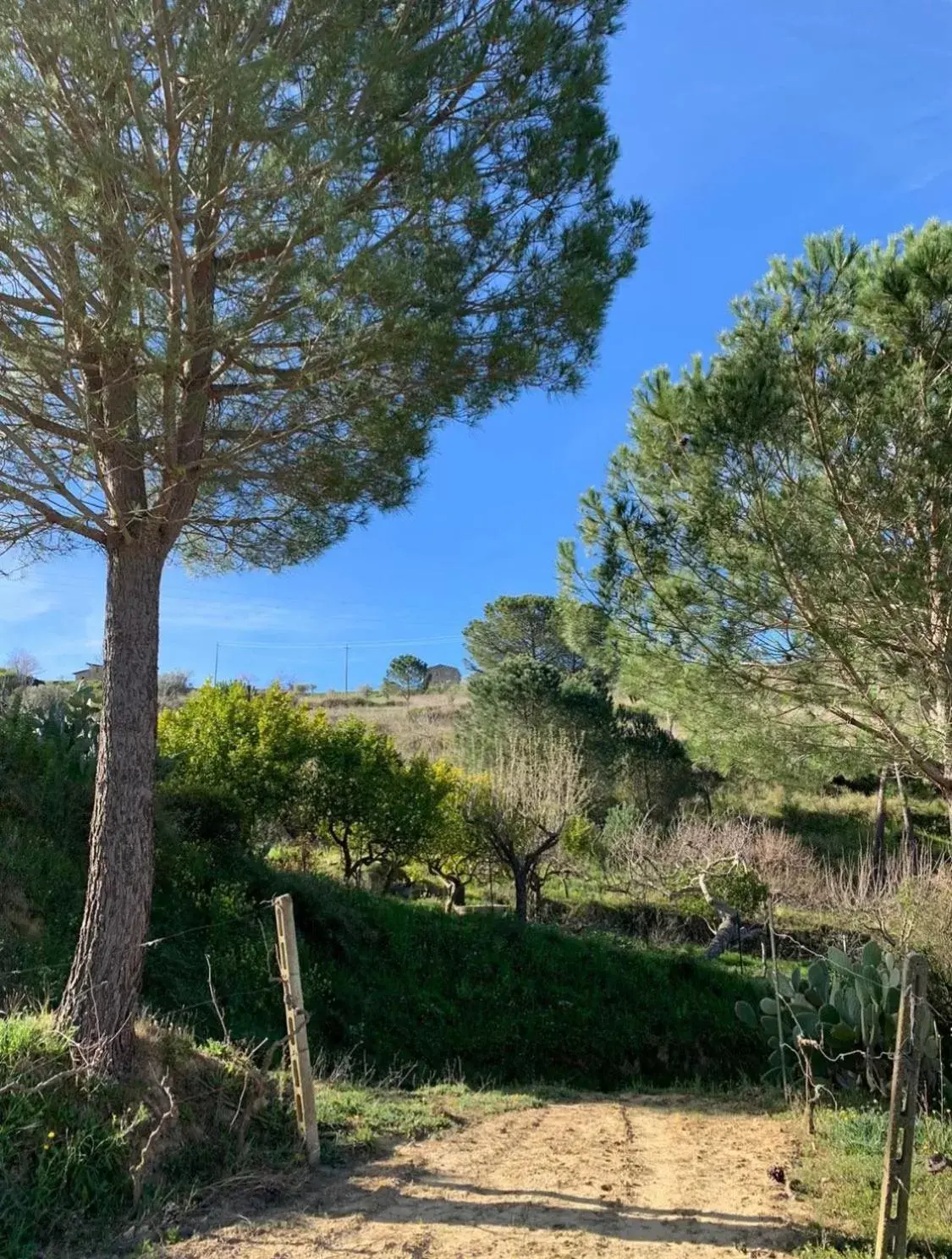Day, Natural Landscape in B&B Villa Bentivoglio