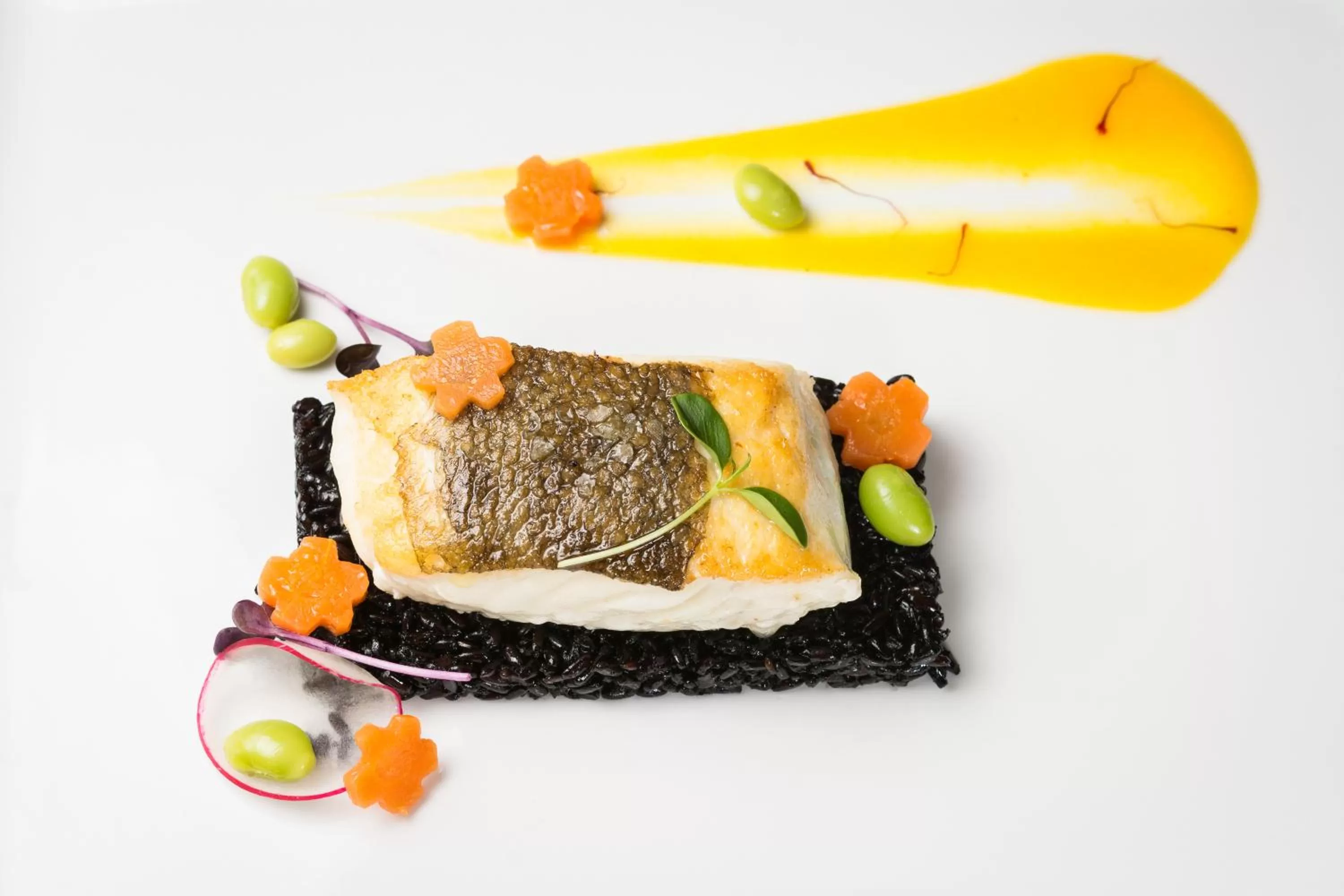 Restaurant/places to eat in Alchymist Grand Hotel and Spa