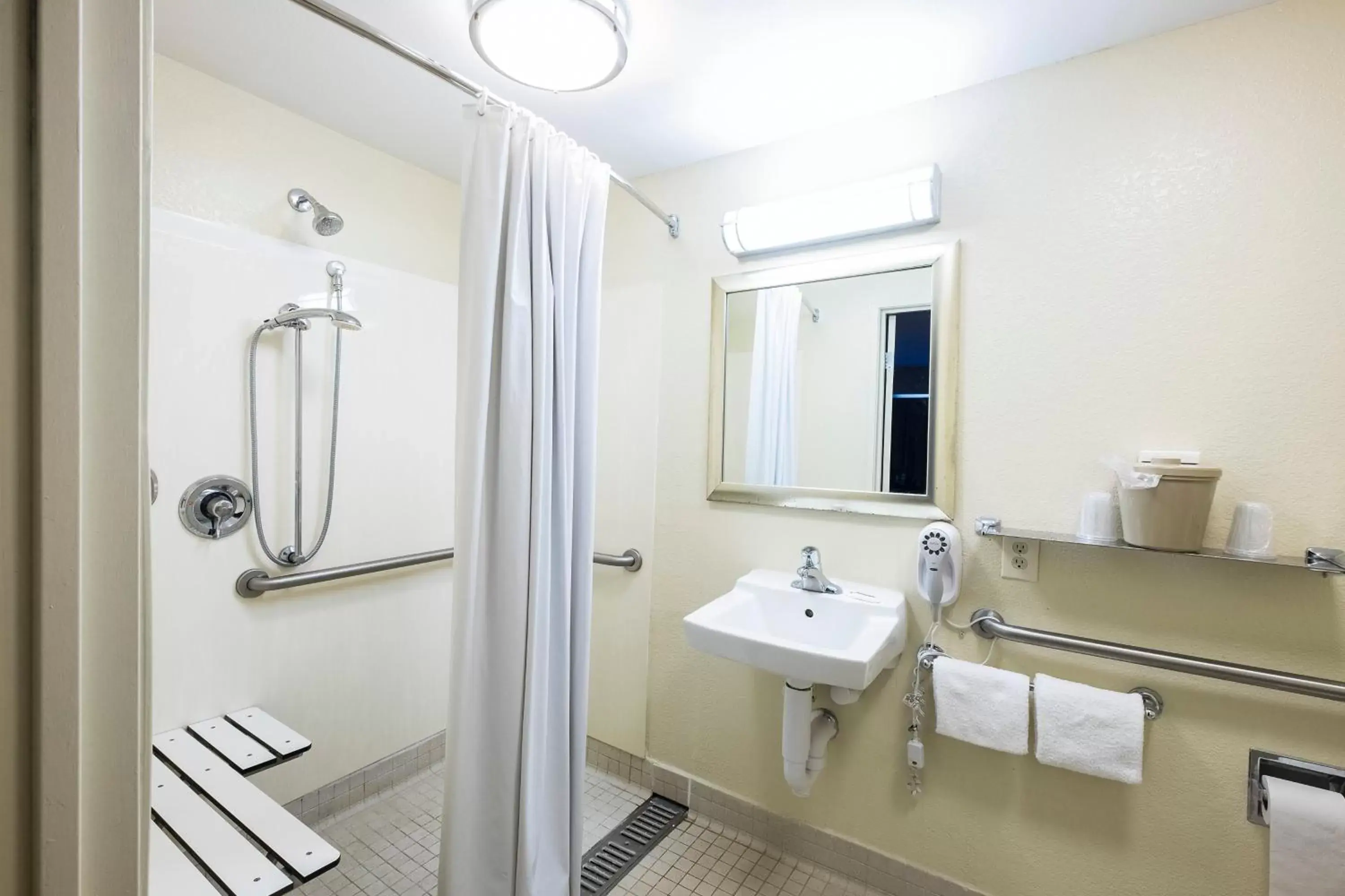 Bathroom in Red Roof Inn Detroit-Rochester Hills/ Auburn Hills