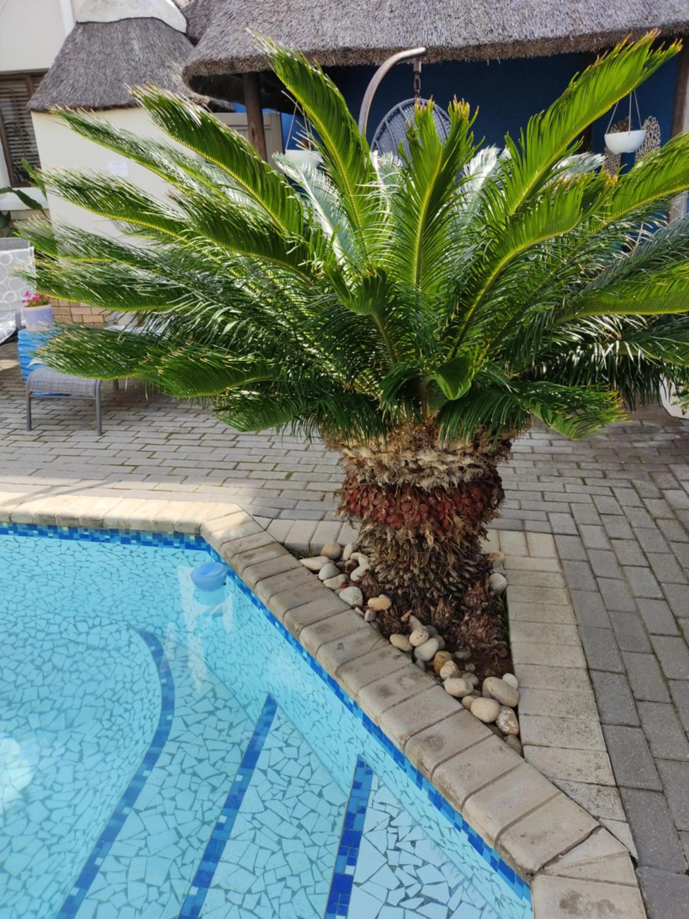 Palm Beach Guesthouse