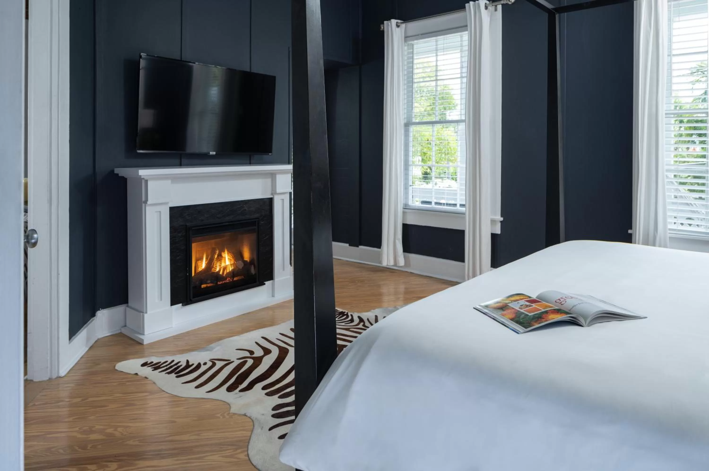 TV/Entertainment Center in Alexander's Gay Lesbian Guesthouse (Adult Only 21+)