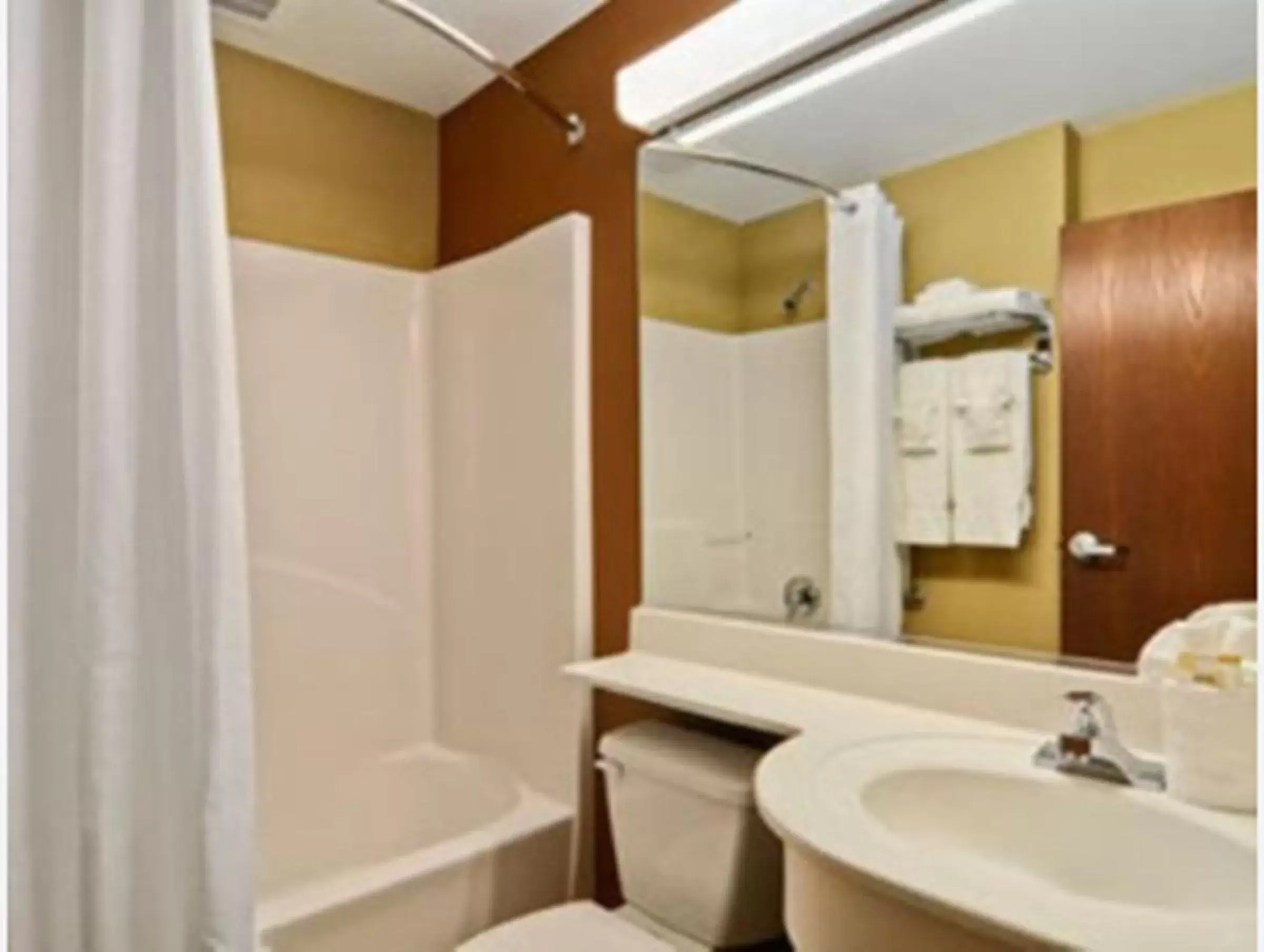 Bathroom in Microtel Inn & Suites by Wyndham Ozark