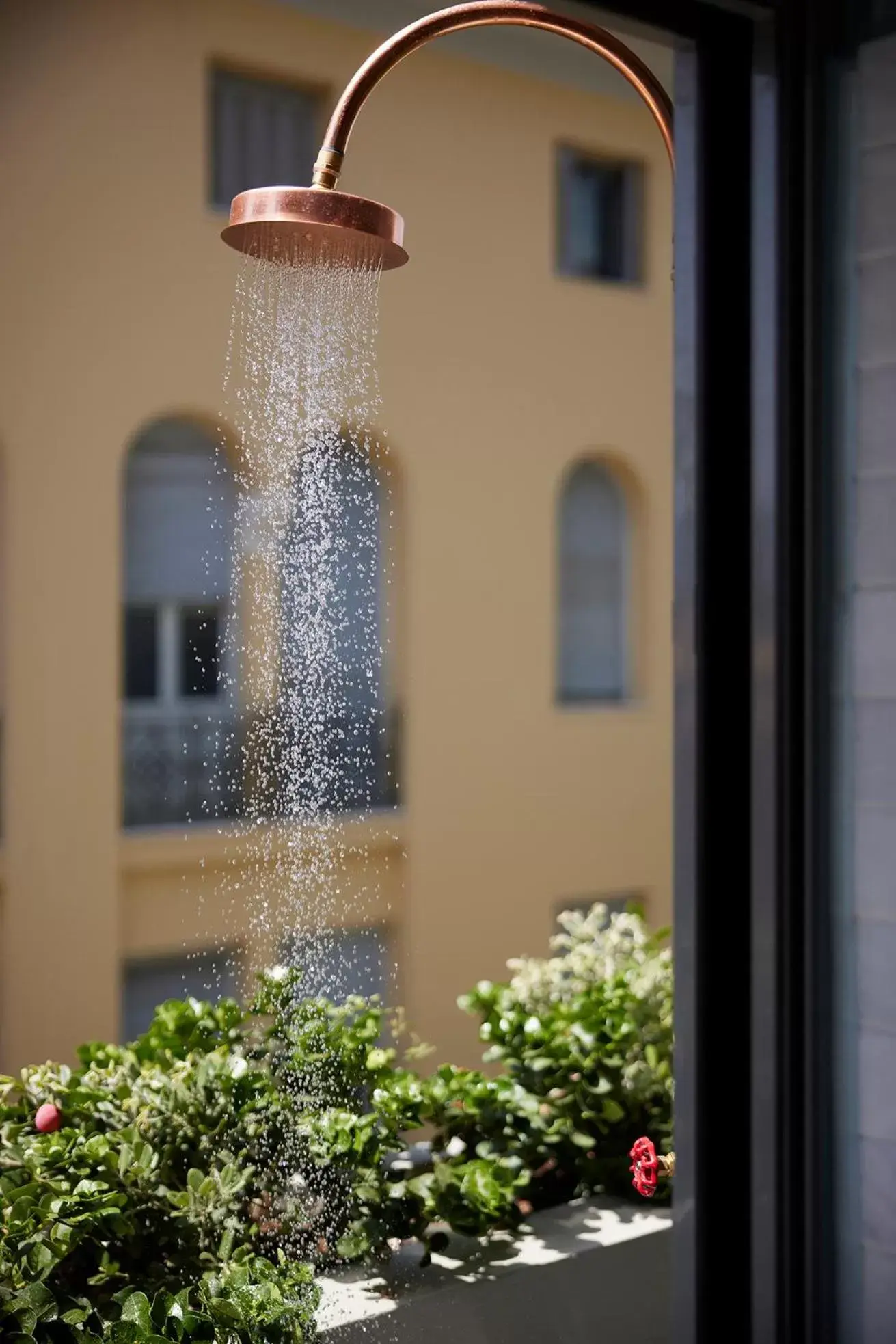 Shower in Hotel Fresh