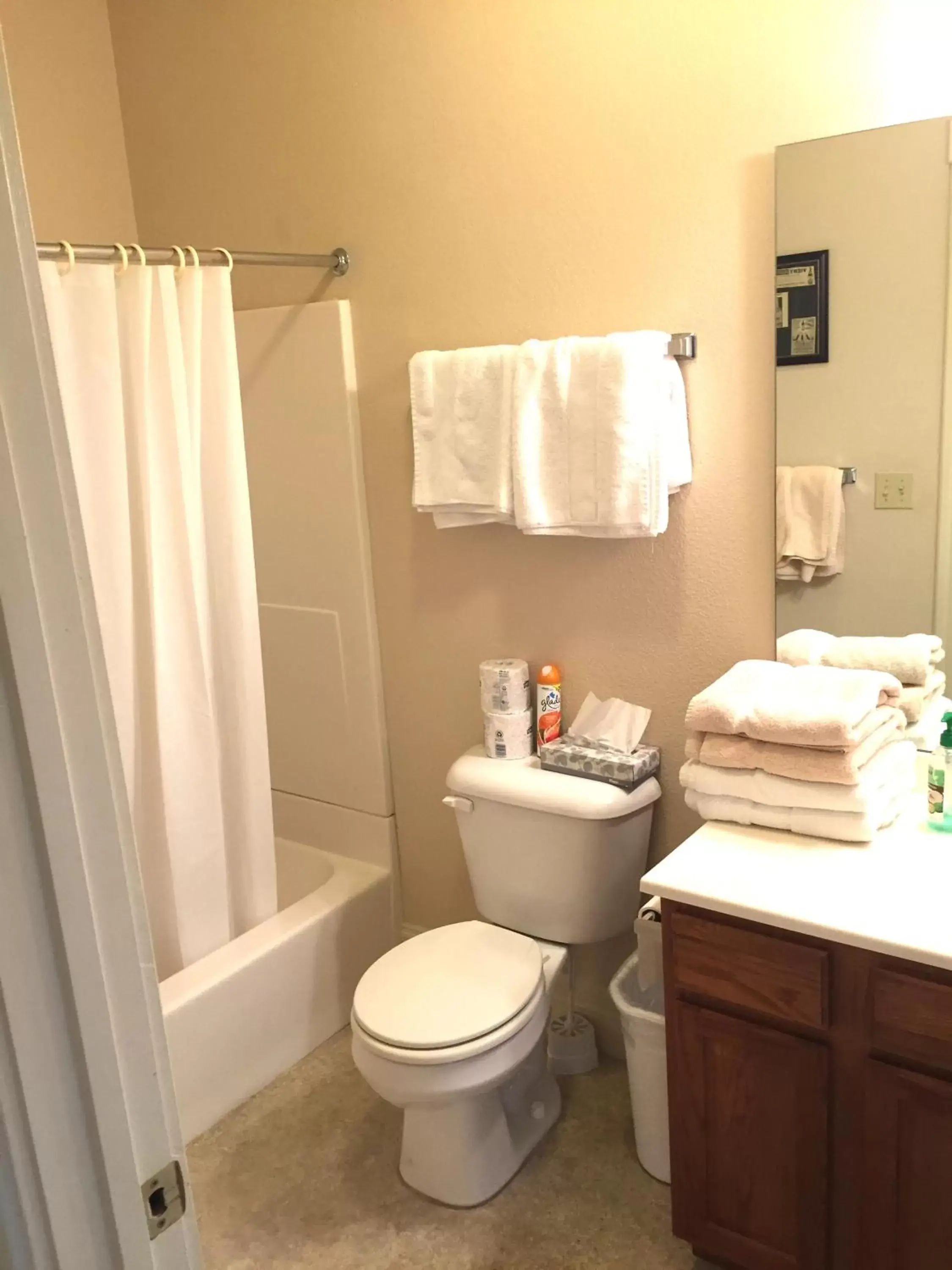 Shower, Bathroom in Hermann Crown Suites