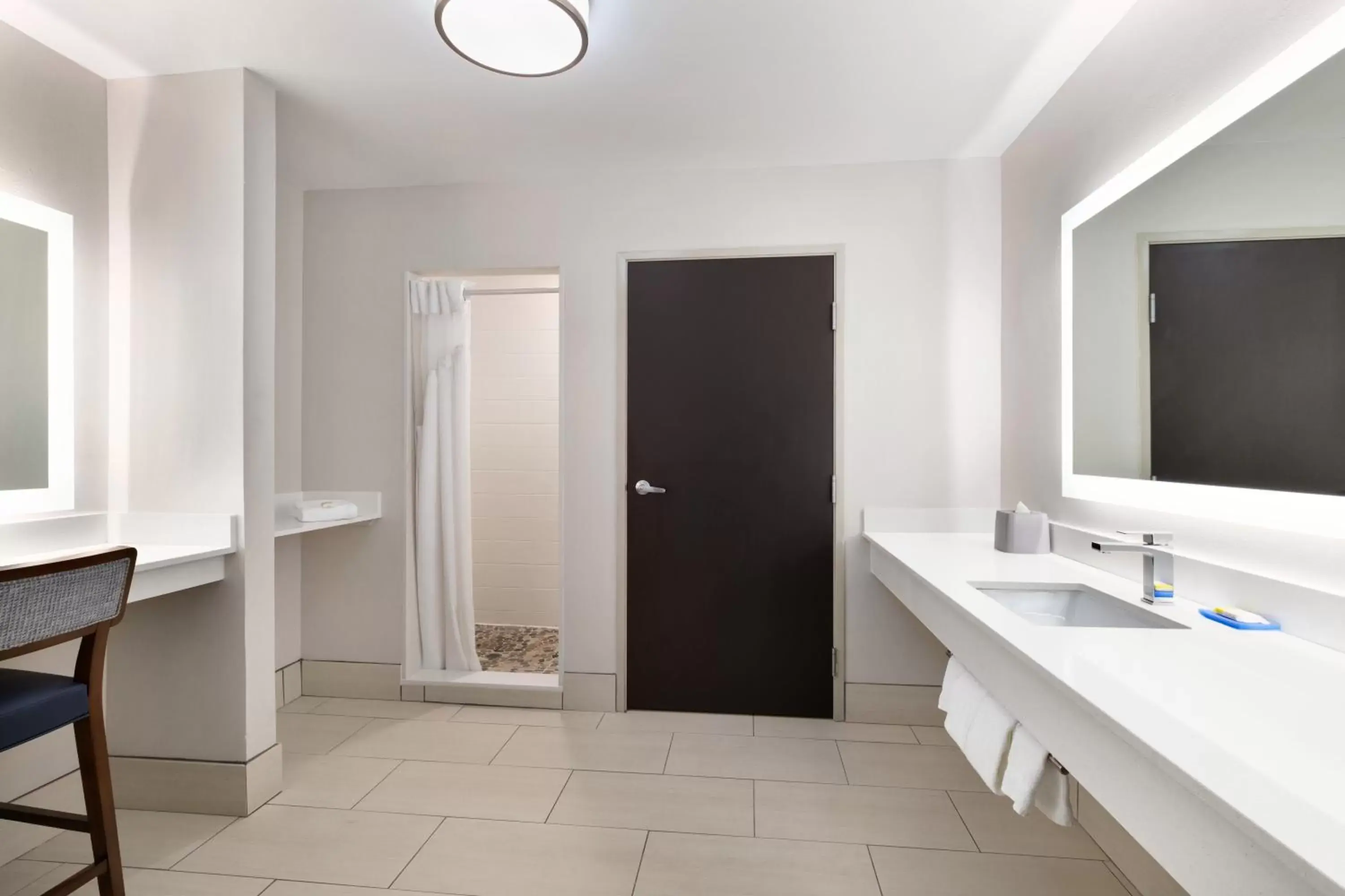 Bathroom, TV/Entertainment Center in Holiday Inn Express Hotel & Suites Auburn - University Area, an IHG Hotel