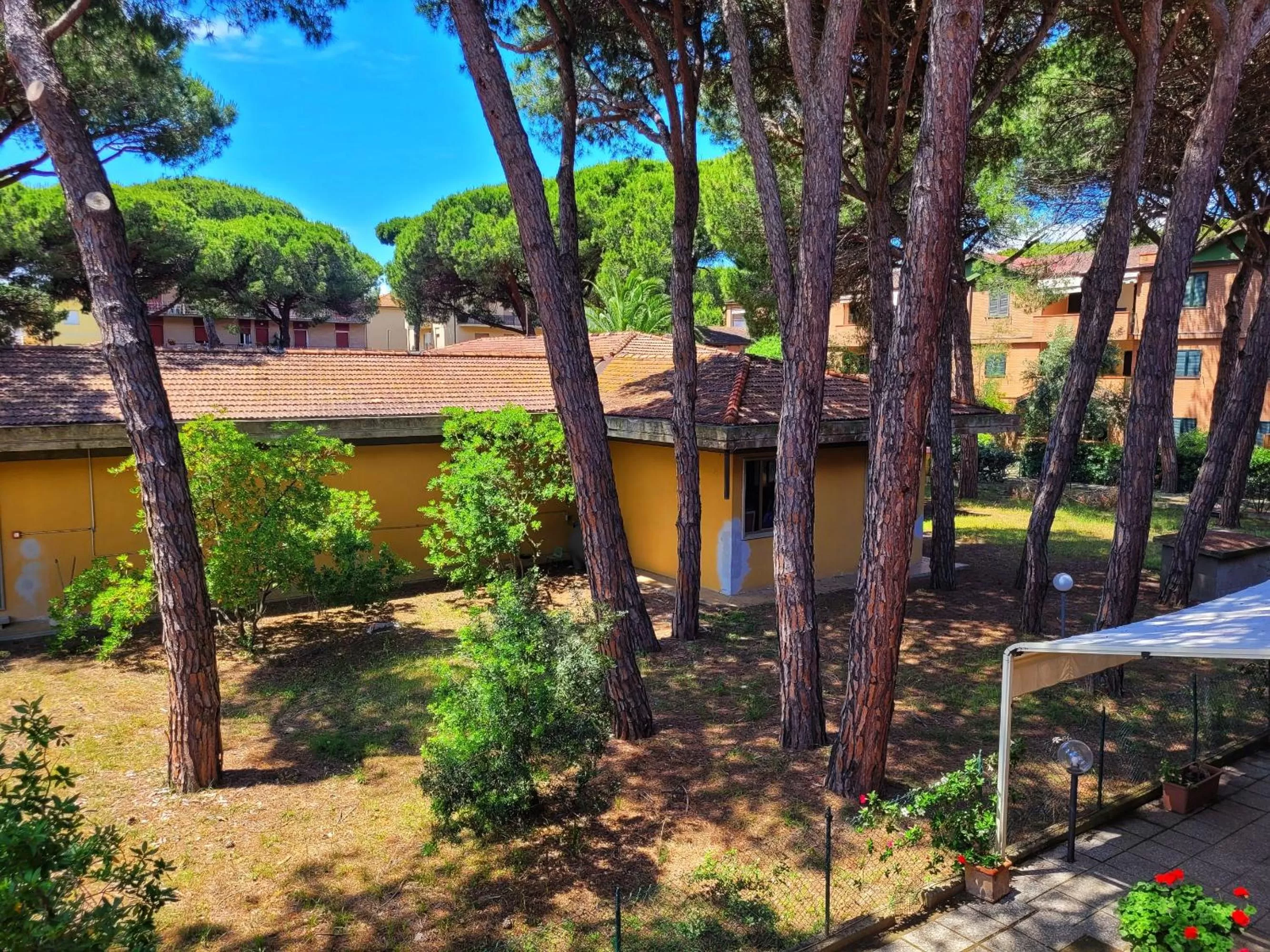 Studio with Garden View - single occupancy in Pineta Azzurra