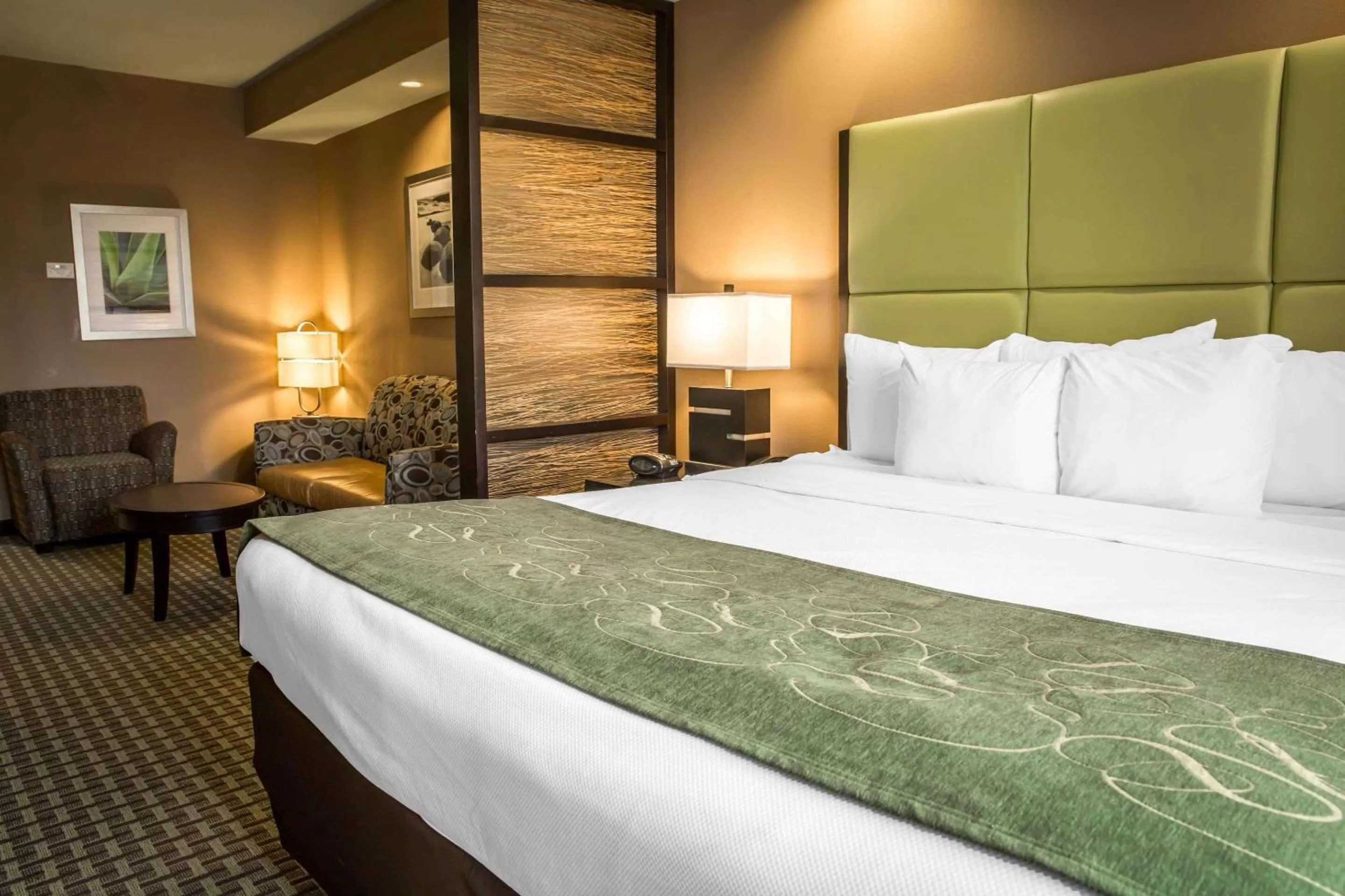 Photo of the whole room, Bed in Comfort Suites New Bern near Cherry Point