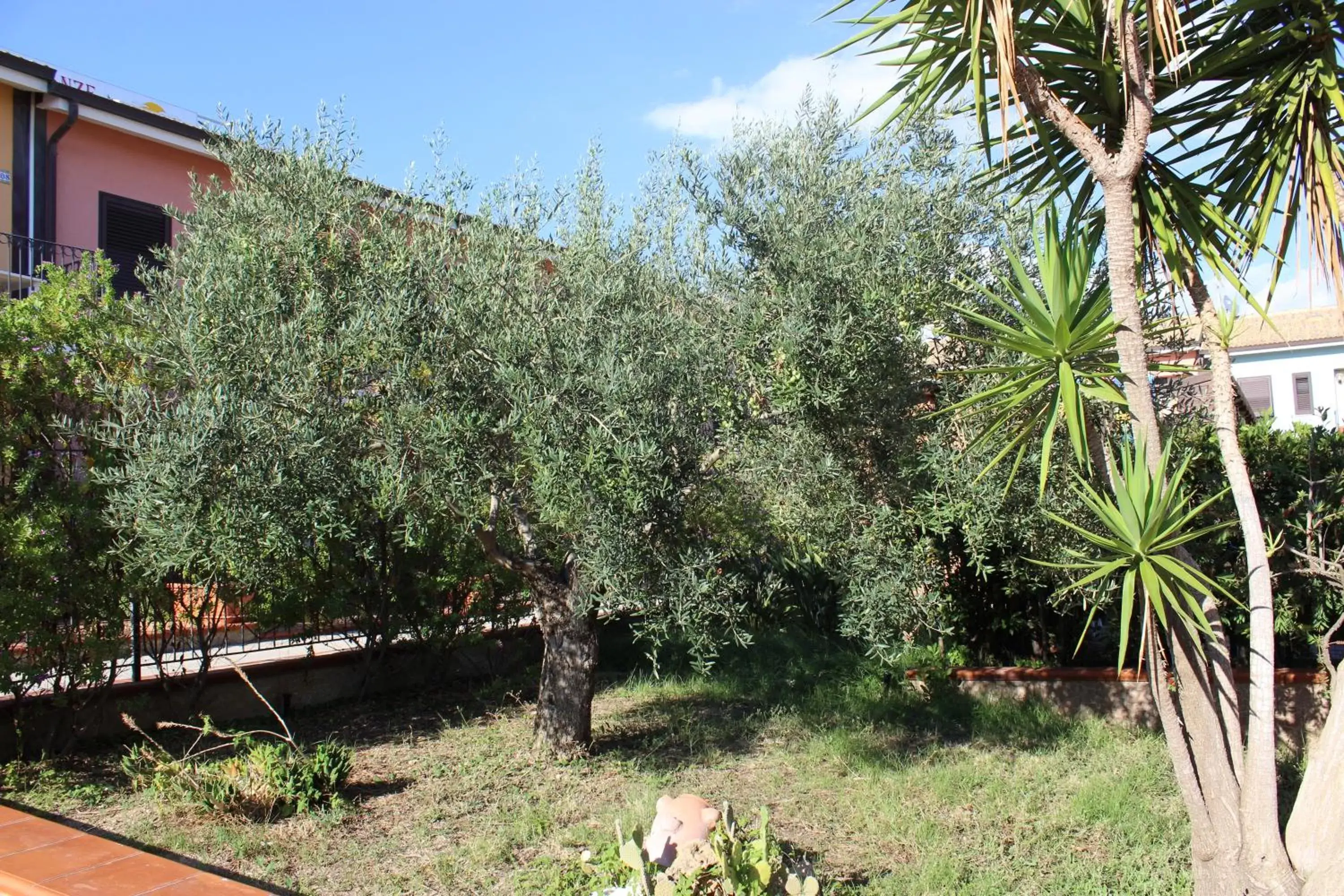 Garden in Andrea Case Vacanze L'Ancora