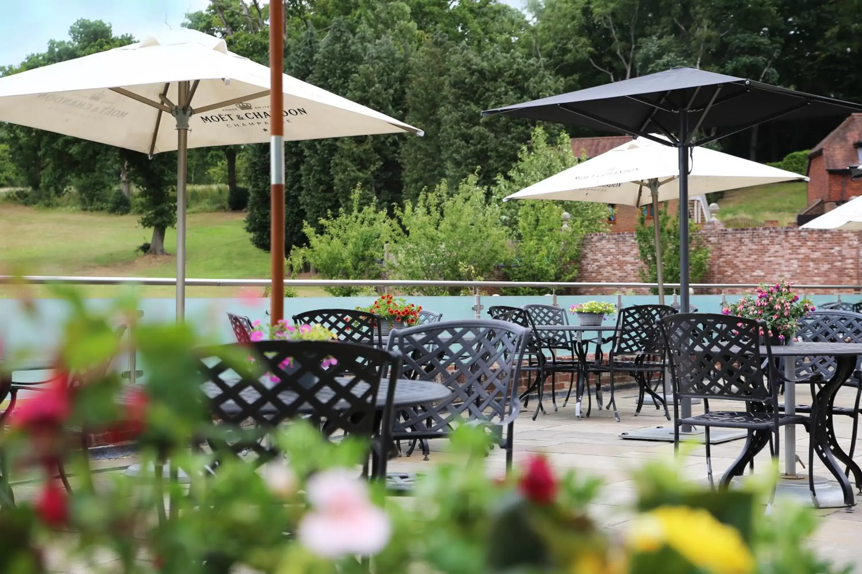 Patio, Restaurant/Places to Eat in Old Thorns Hotel & Resort