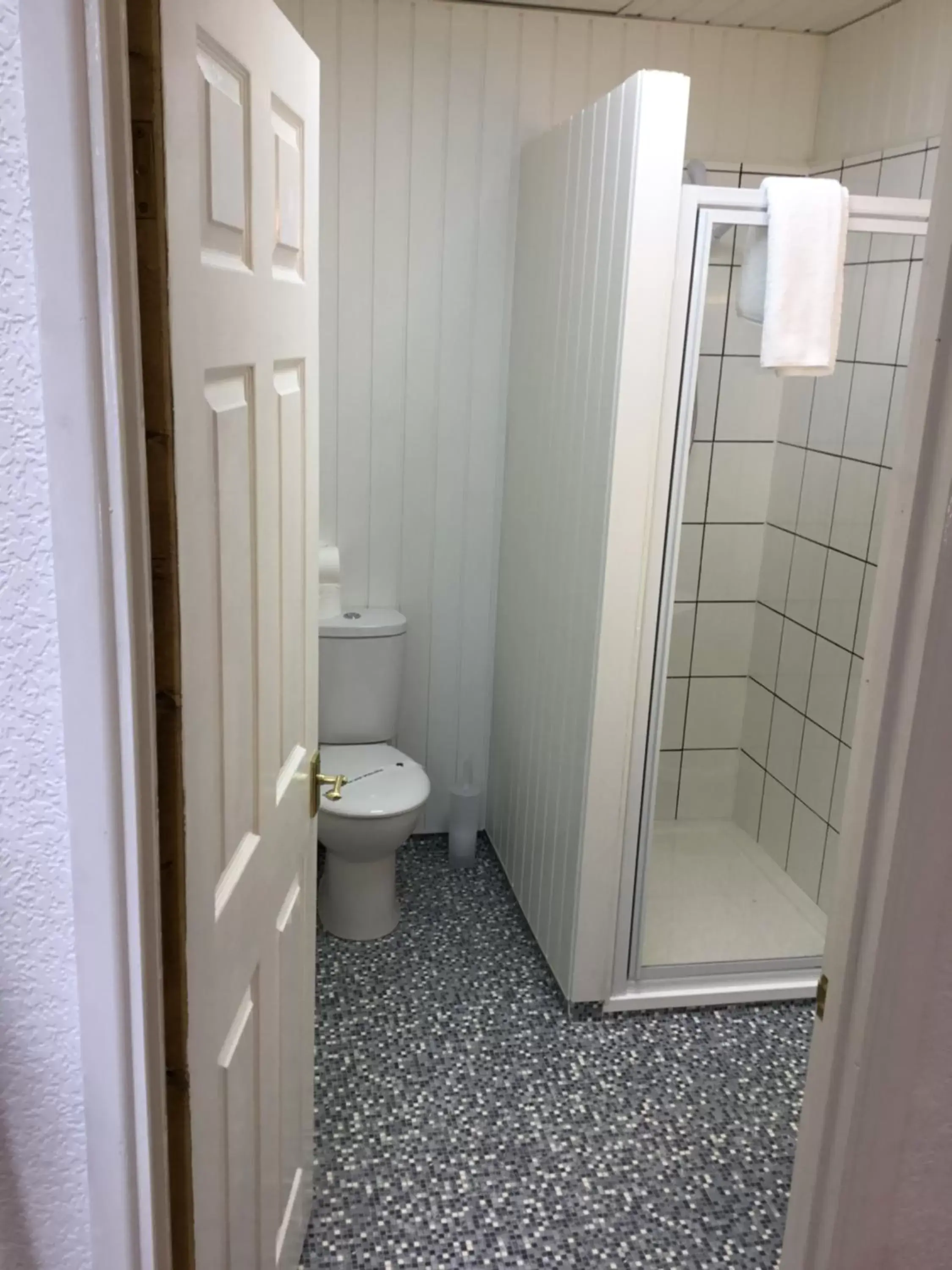Shower, Bathroom in Danescourt Lodge