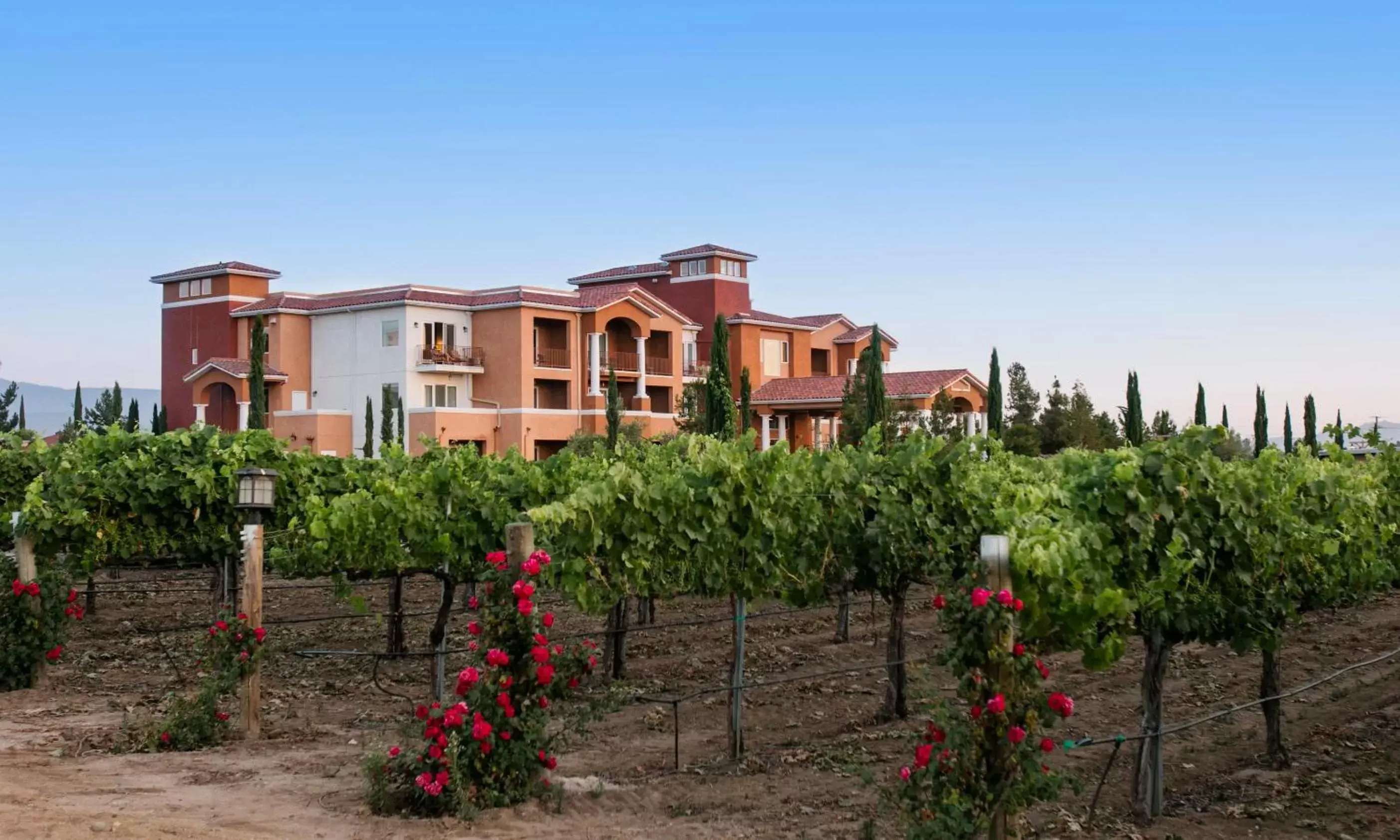 Facade/entrance, Property Building in South Coast Winery Resort & Spa