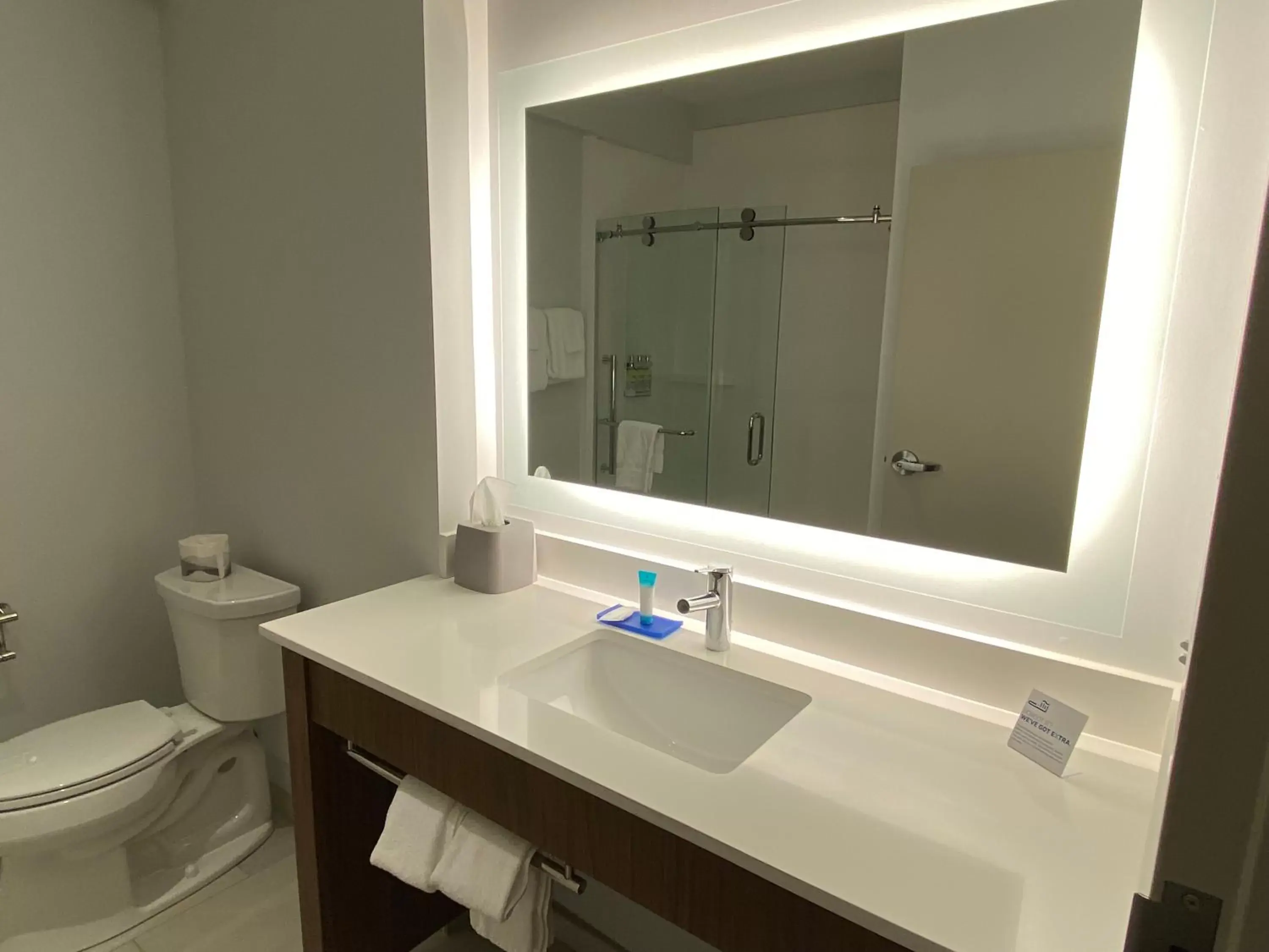 Shower, Bathroom in Holiday Inn Express & Suites - Dahlonega - University Area, an IHG Hotel