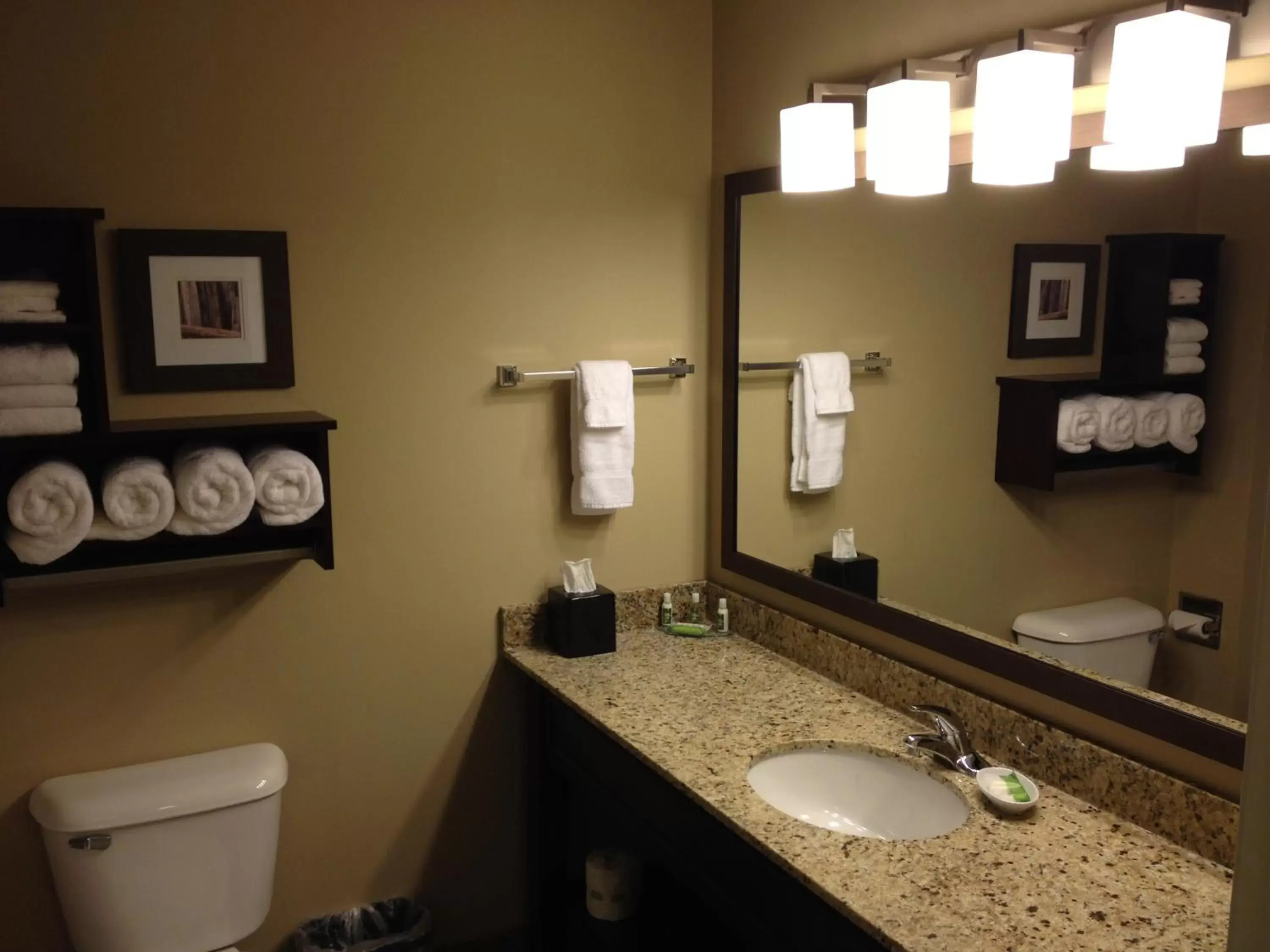 Shower, Bathroom in GrandStay Hotel & Suites - Glenwood