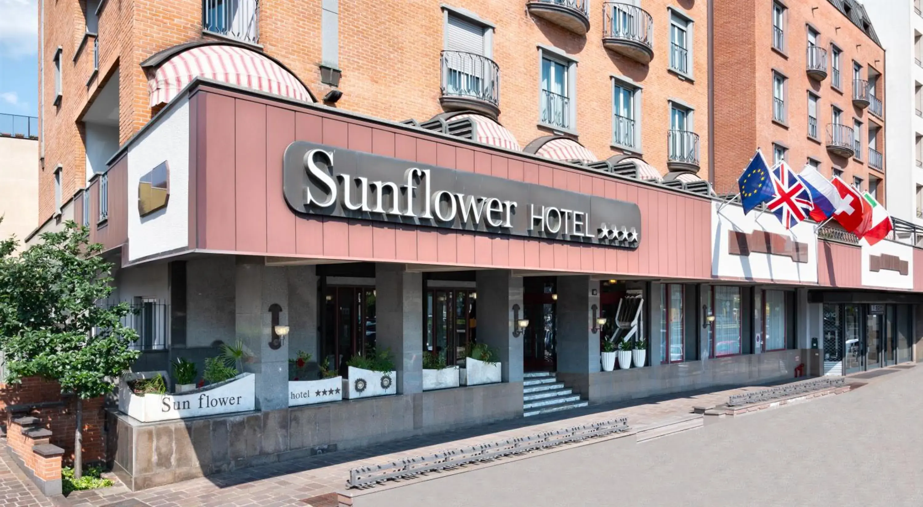 Hotel Sunflower