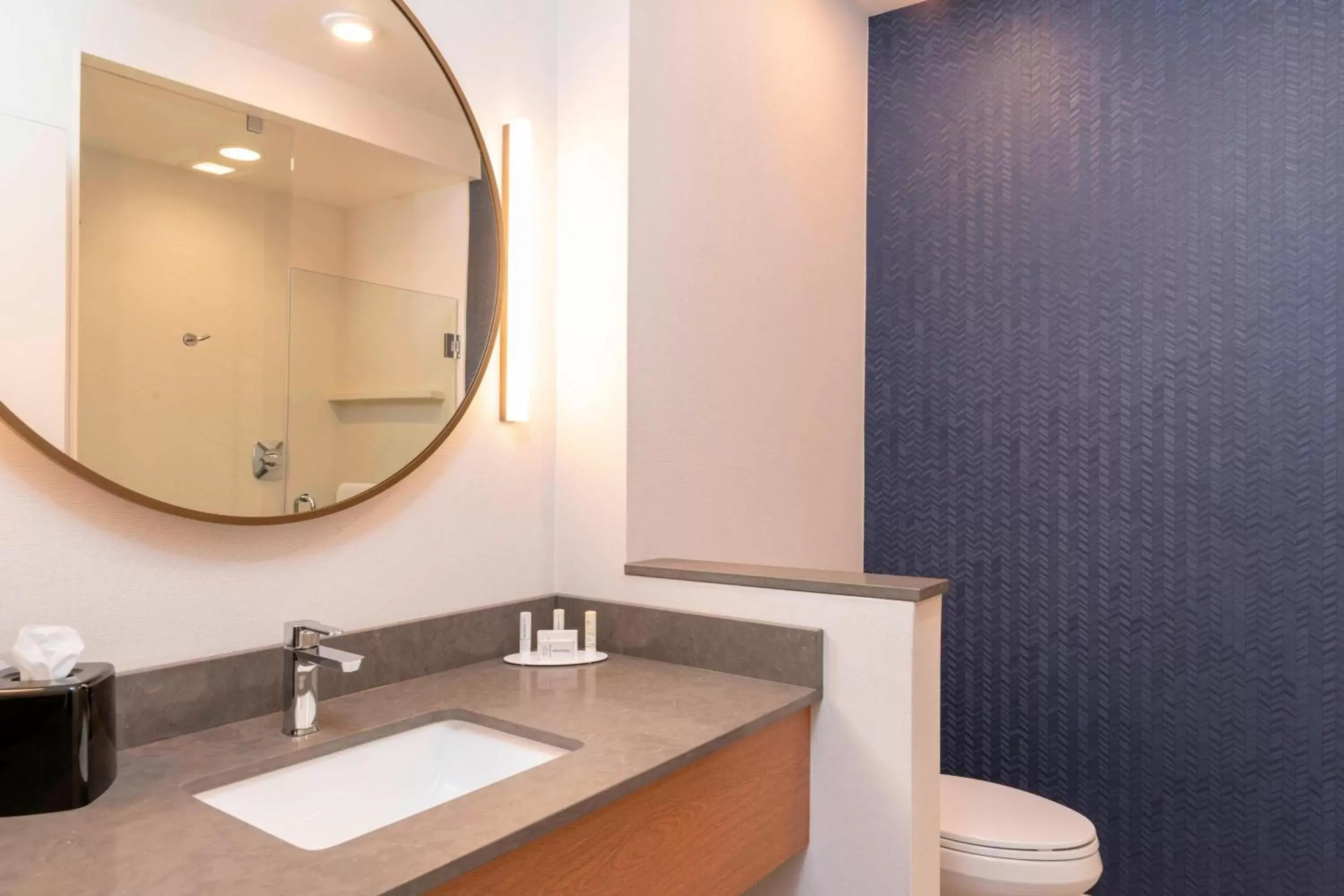 Bathroom in Fairfield Inn & Suites by Marriott Fair Oaks Farms