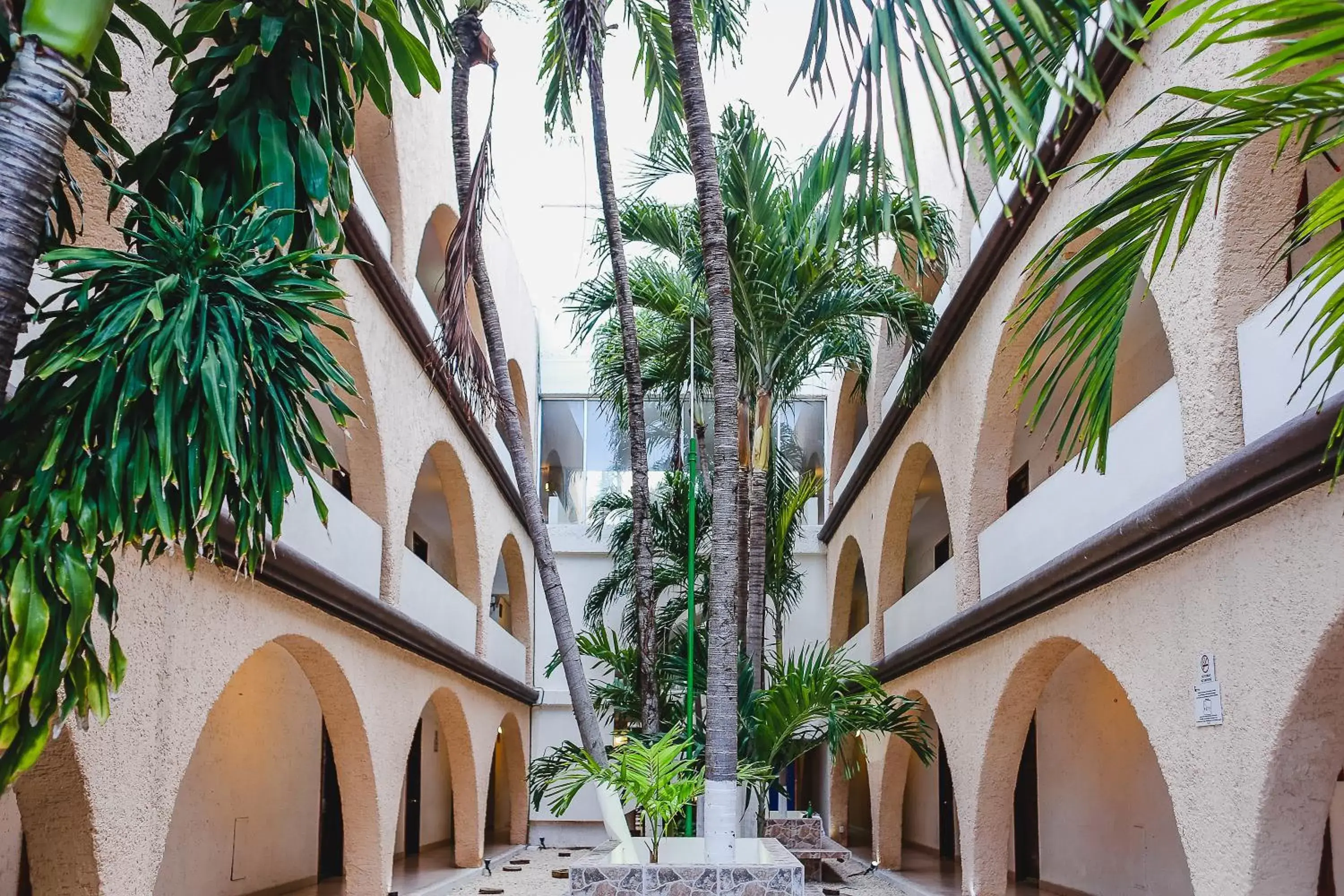 Garden in Hotel Parador