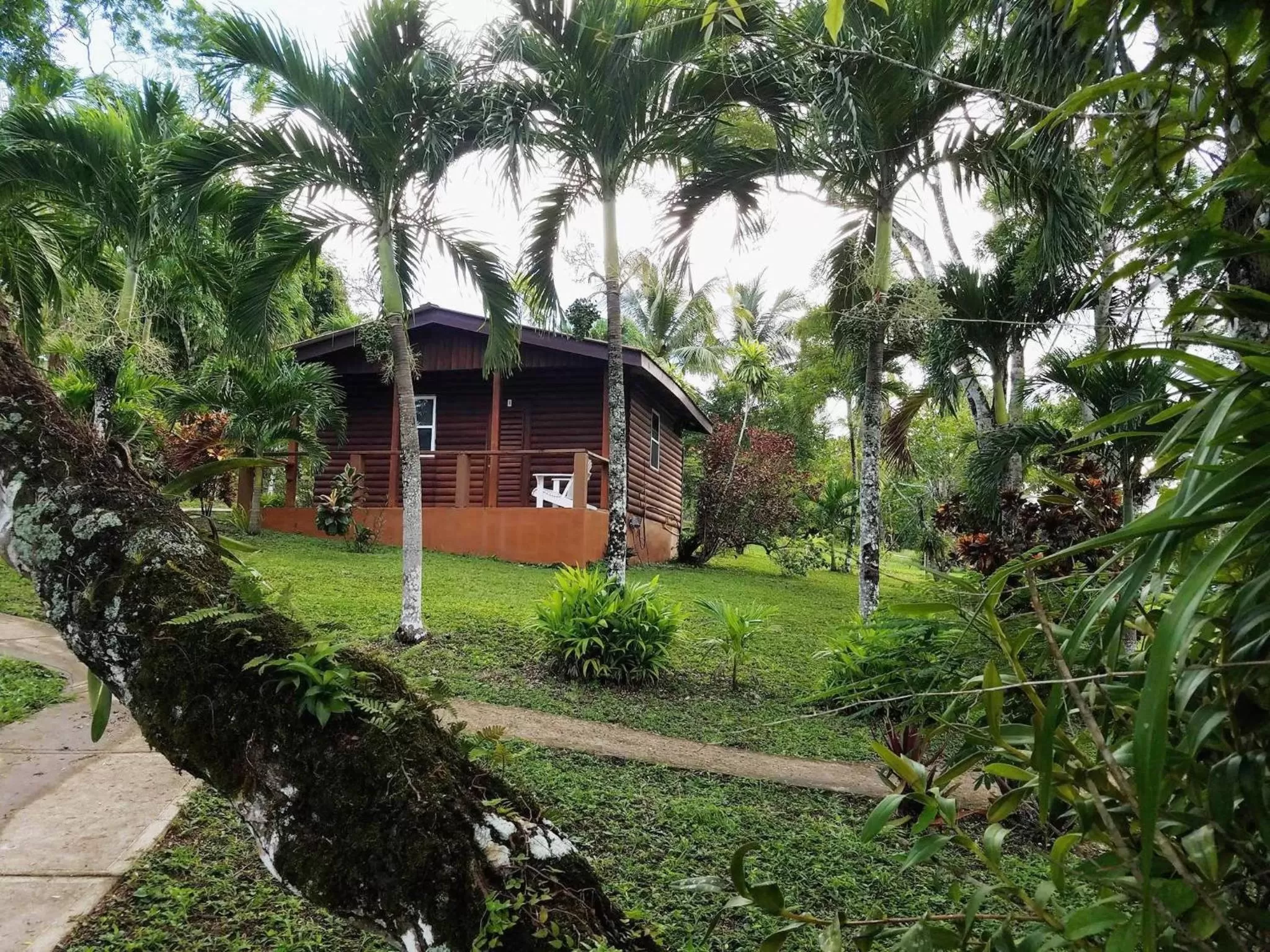 Day in The Log Cab-Inn