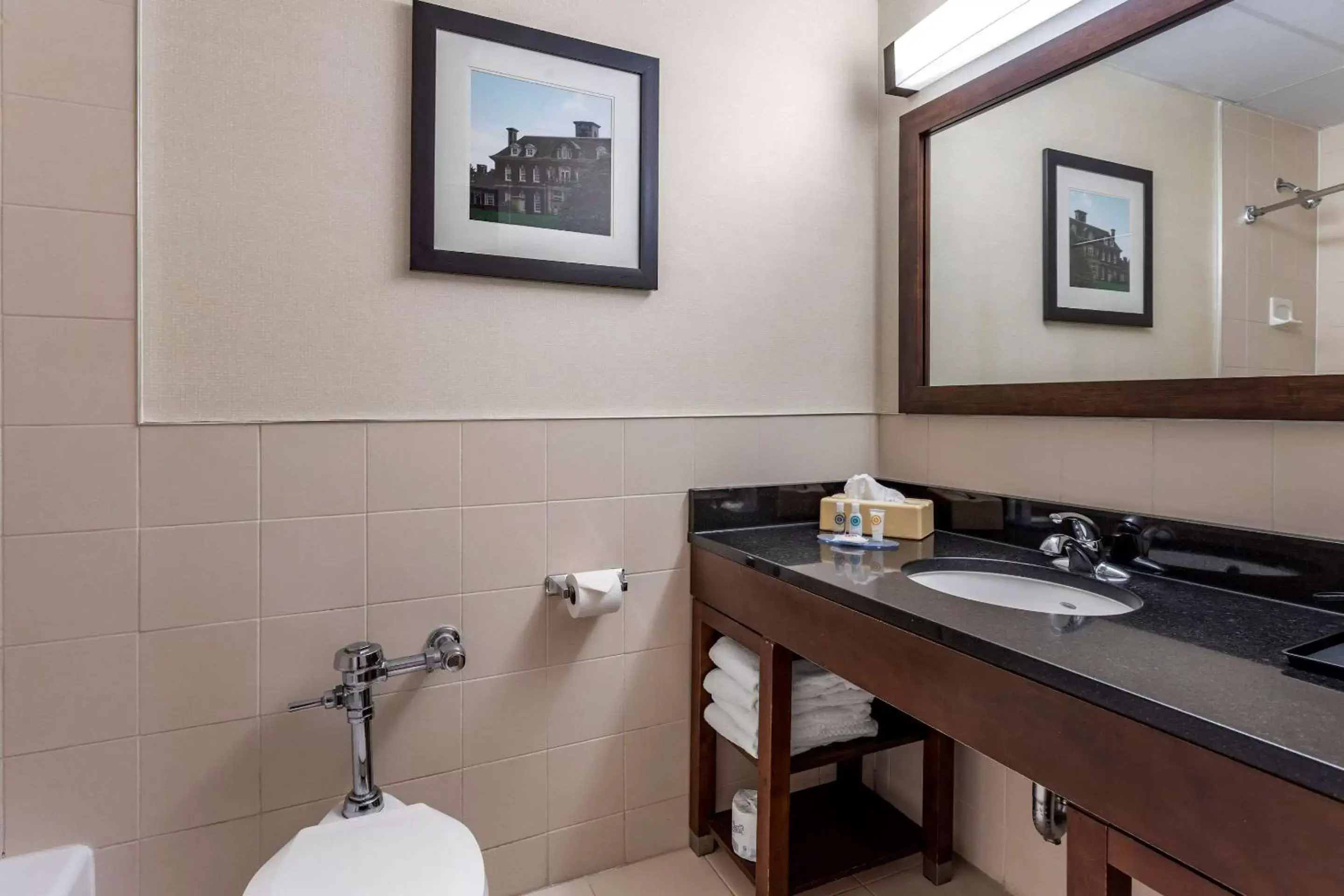 Bathroom in Comfort Inn Syosset-Long Island