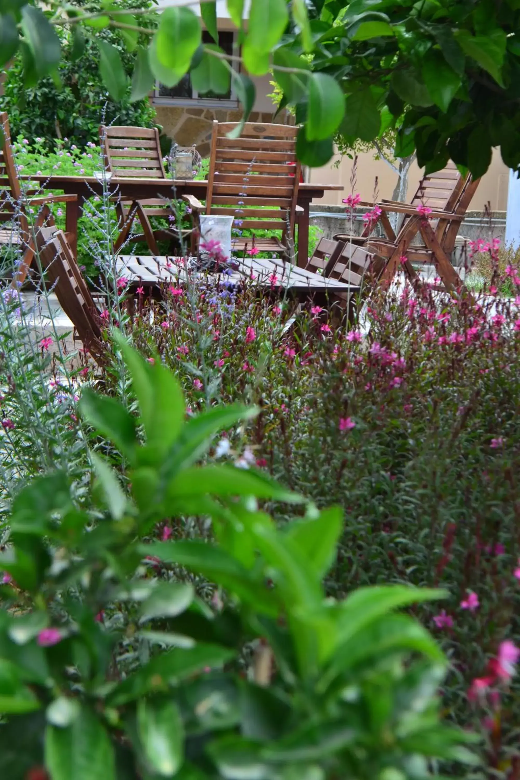 Garden view in Comfort Stay Airport Studios - FREE shuttle from the Athens airport