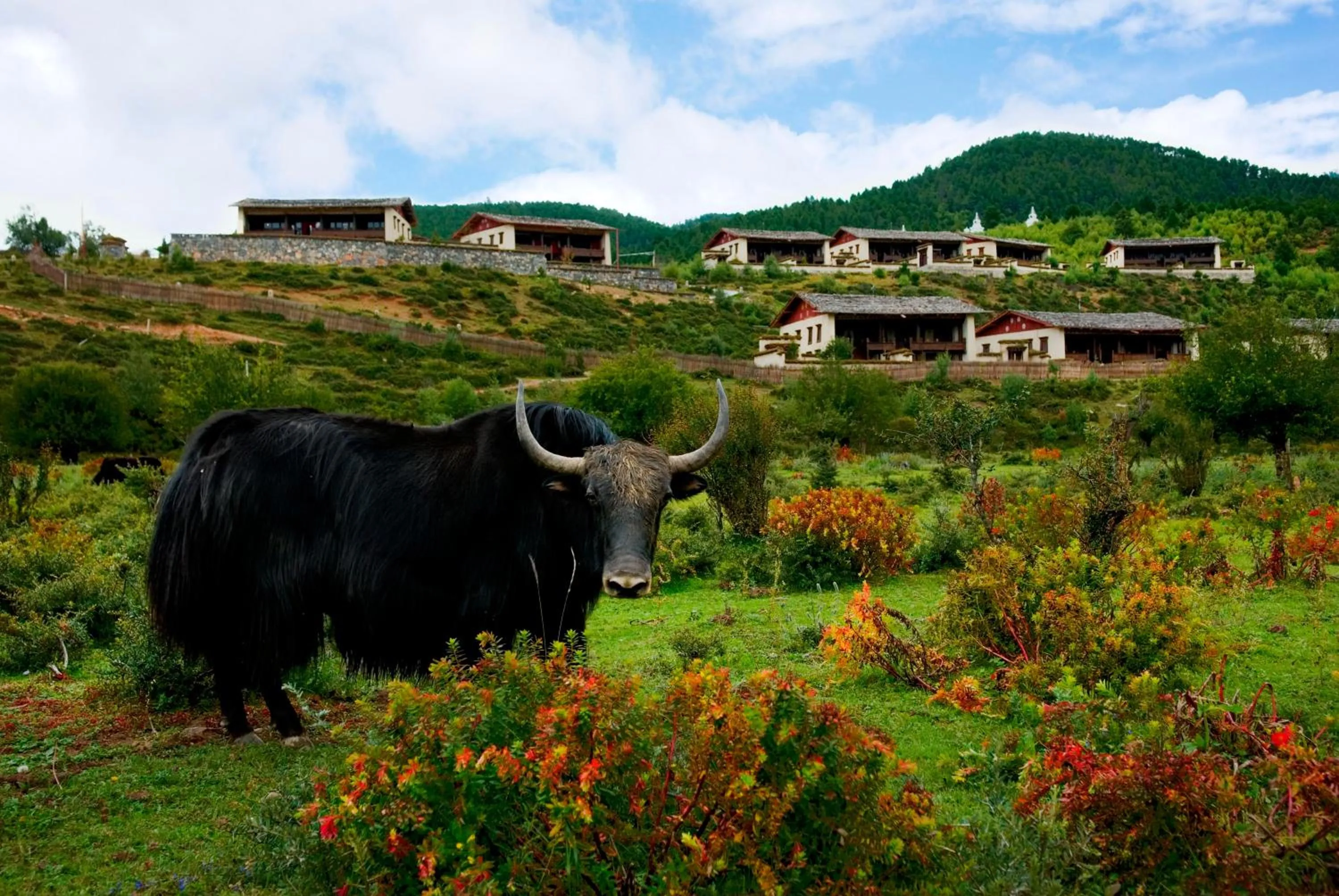 View (from property/room) in Banyan Tree Ringha