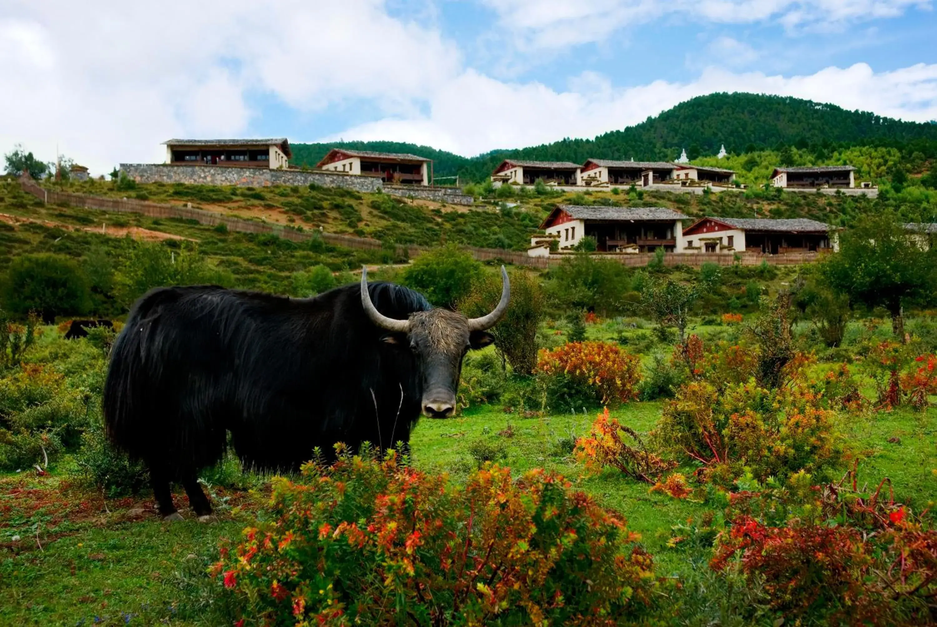 View (from property/room) in Banyan Tree Ringha View (from property/room) in Banyan Tree Ringha