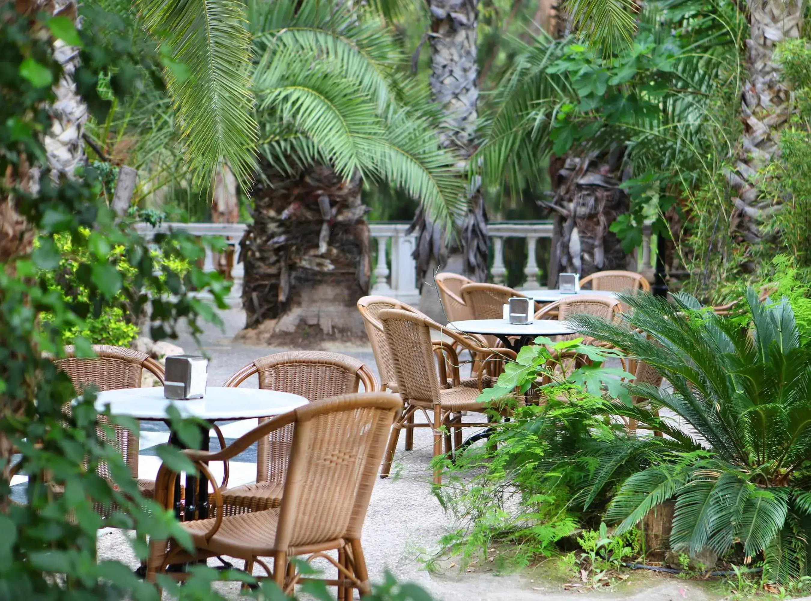 Restaurant/places to eat in Balneario de Archena - Hotel Levante