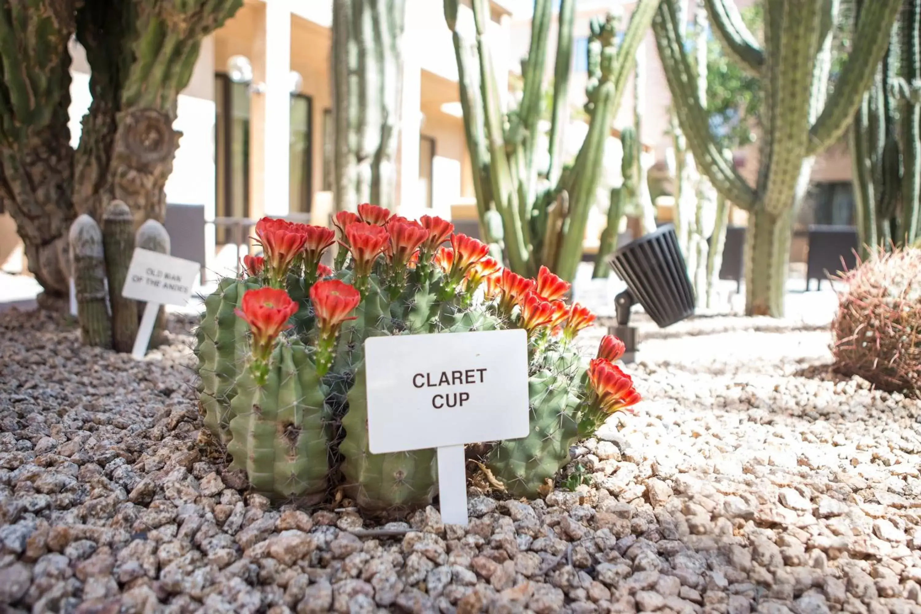 Other in Courtyard by Marriott Phoenix Mesa