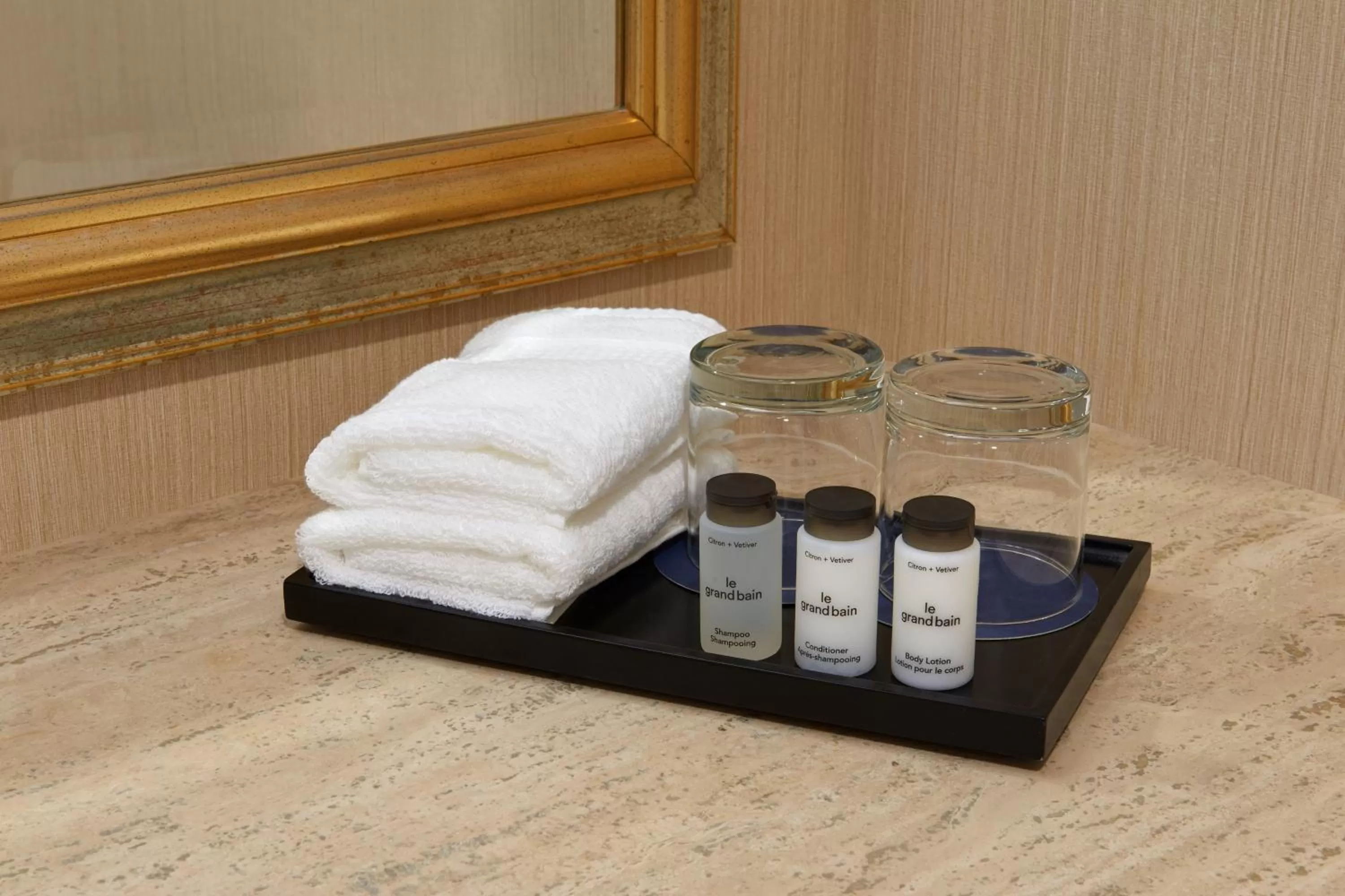 Bathroom in Sheraton Ottawa Hotel