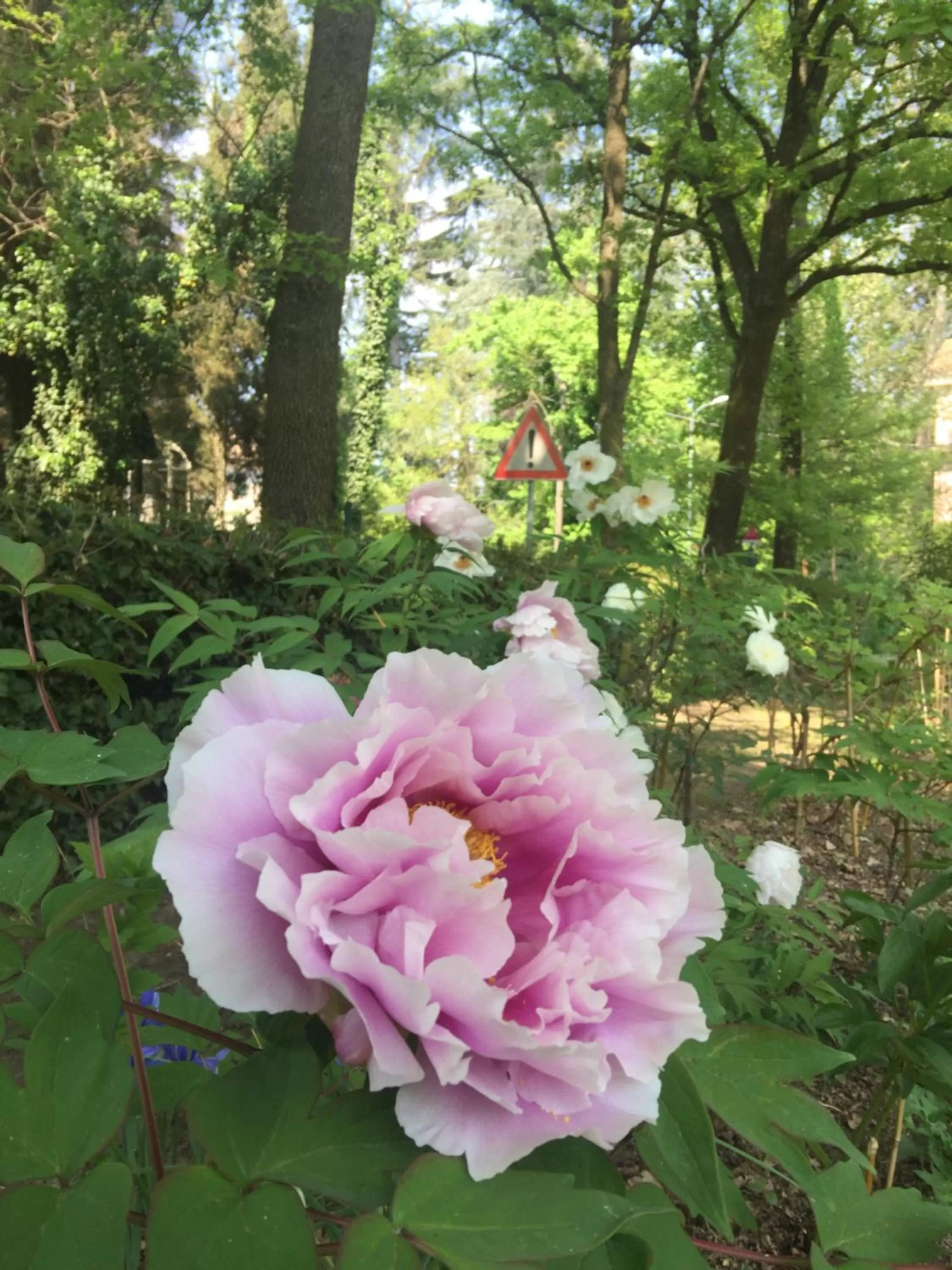 Natural landscape in Le dimore de Il borgo del balsamico