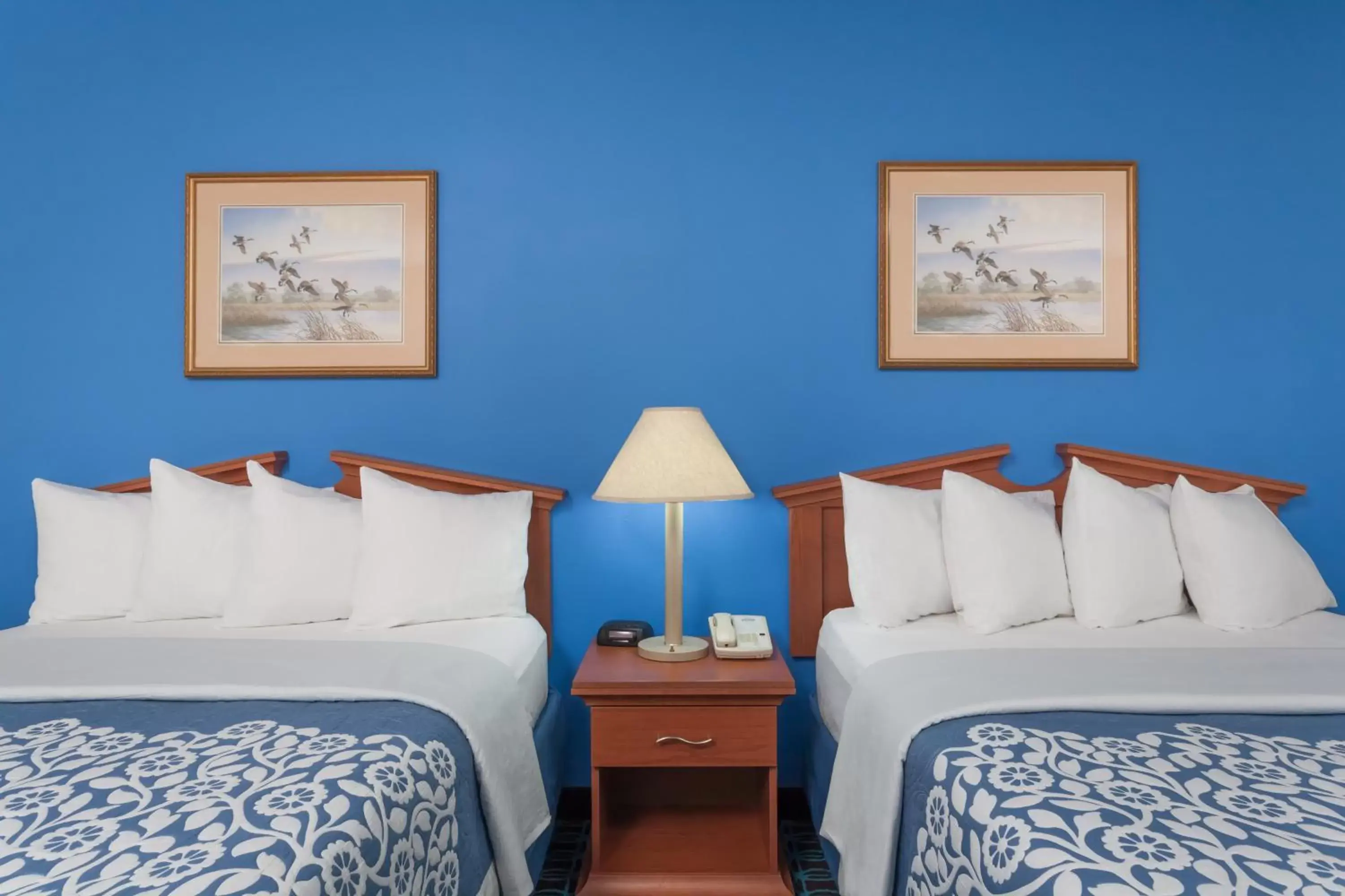 Bedroom, Bed in Days Inn & Suites by Wyndham Cambridge