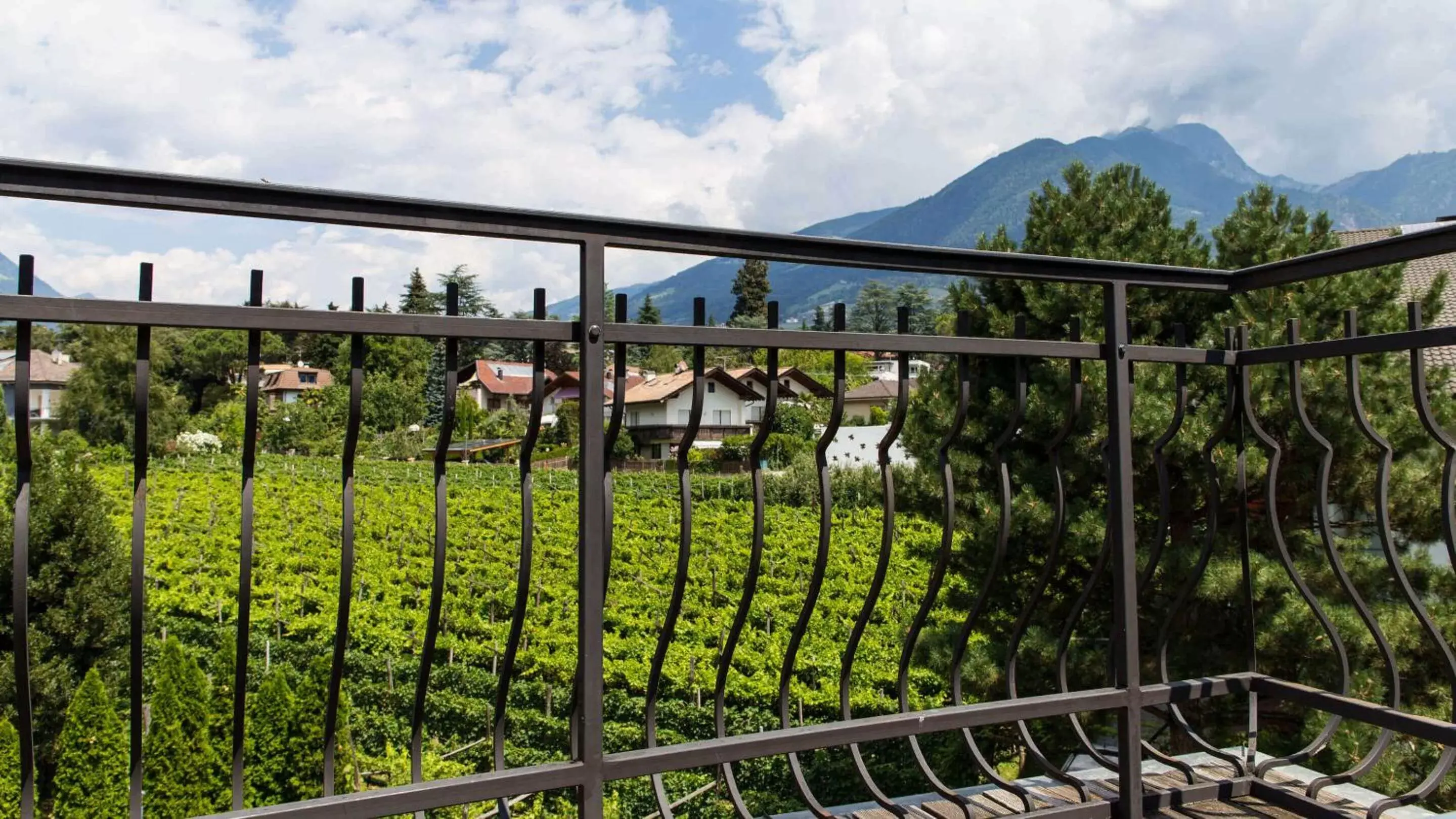 Balcony/Terrace in Hotel Villa Laurus