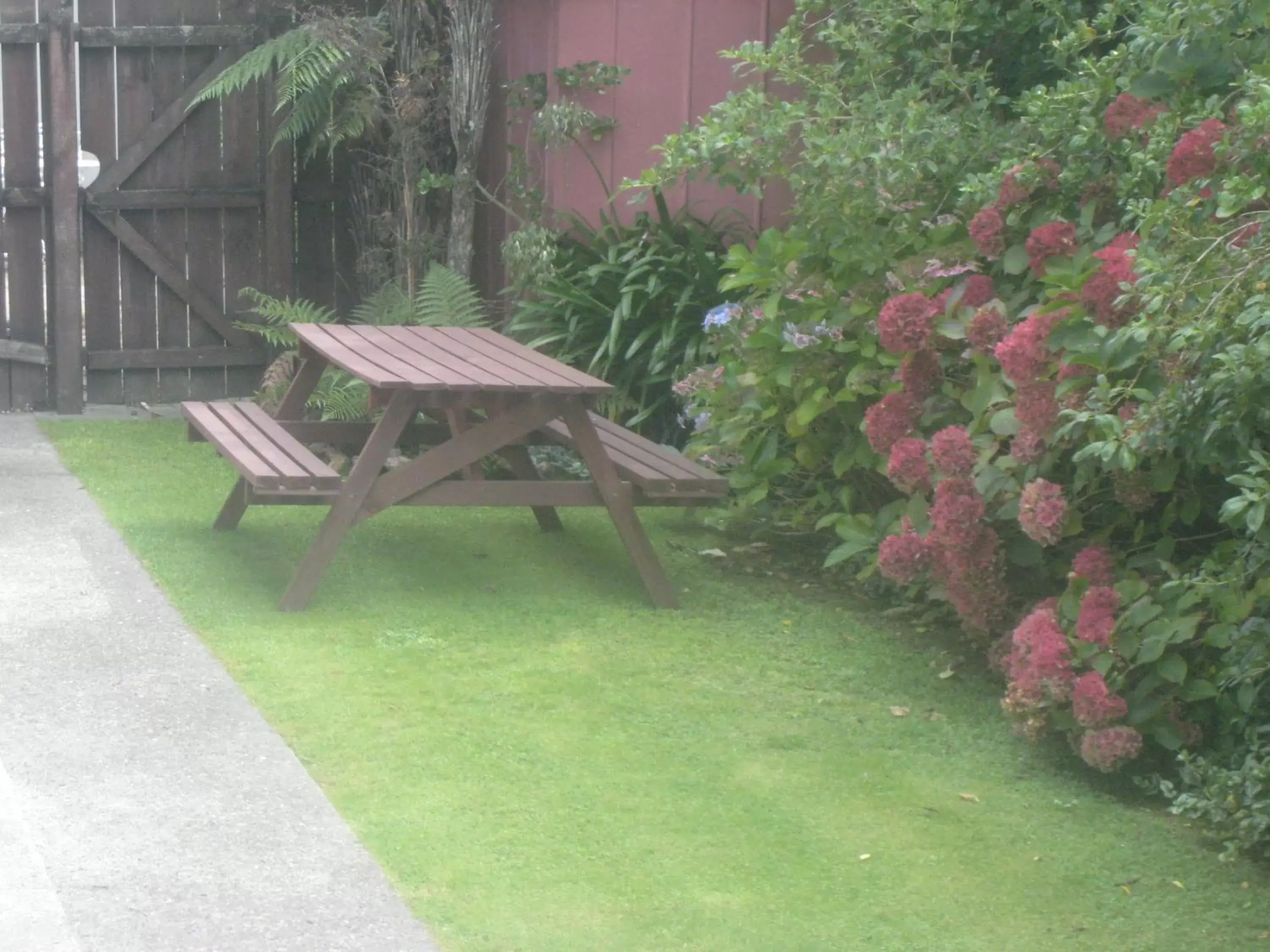 Patio, Garden in Buller Court on Palmerston