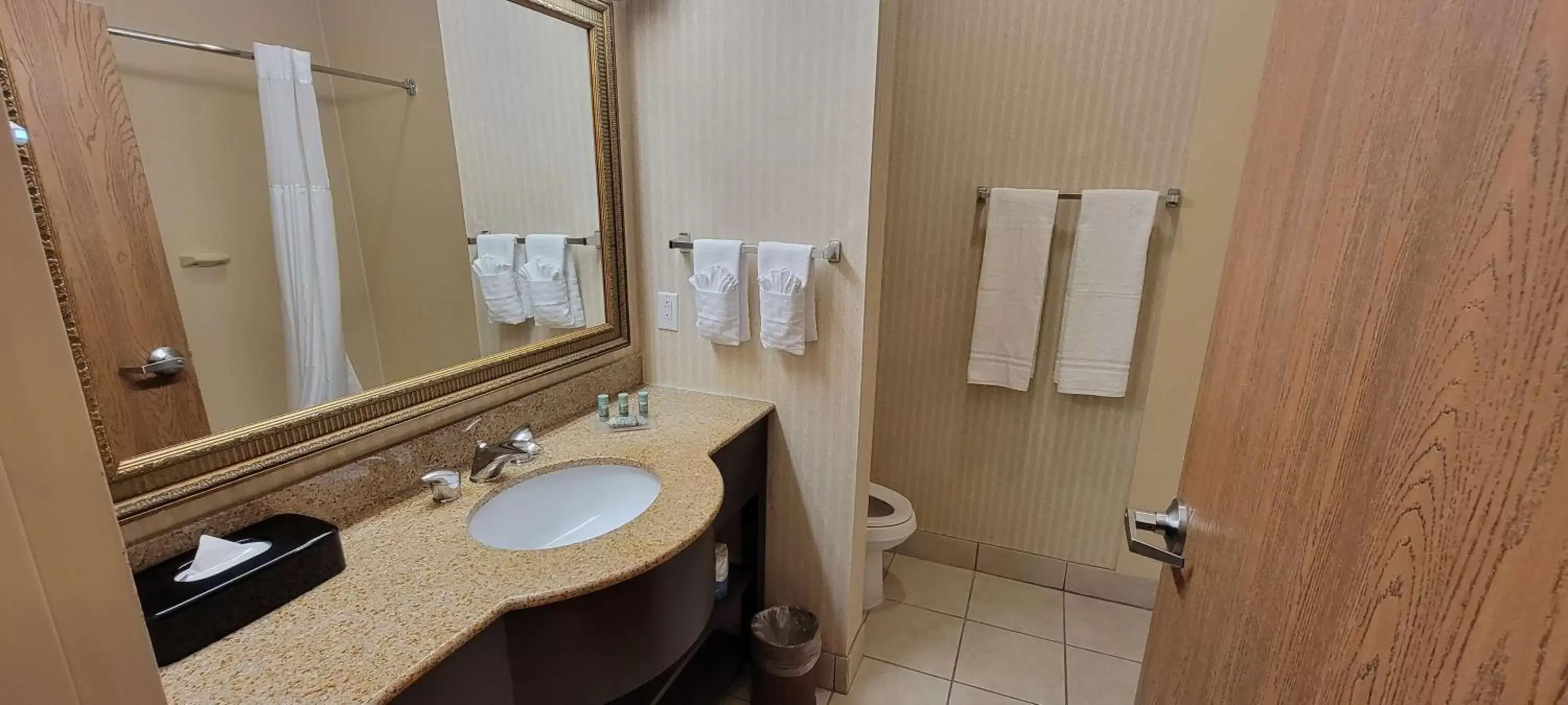 Bathroom in Best Western Gallup West