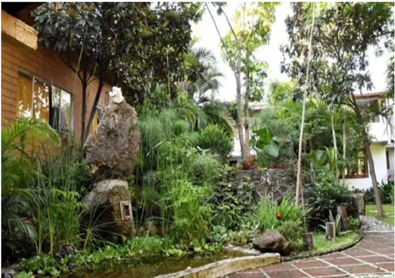 Garden in Hotel boutique Teocalli