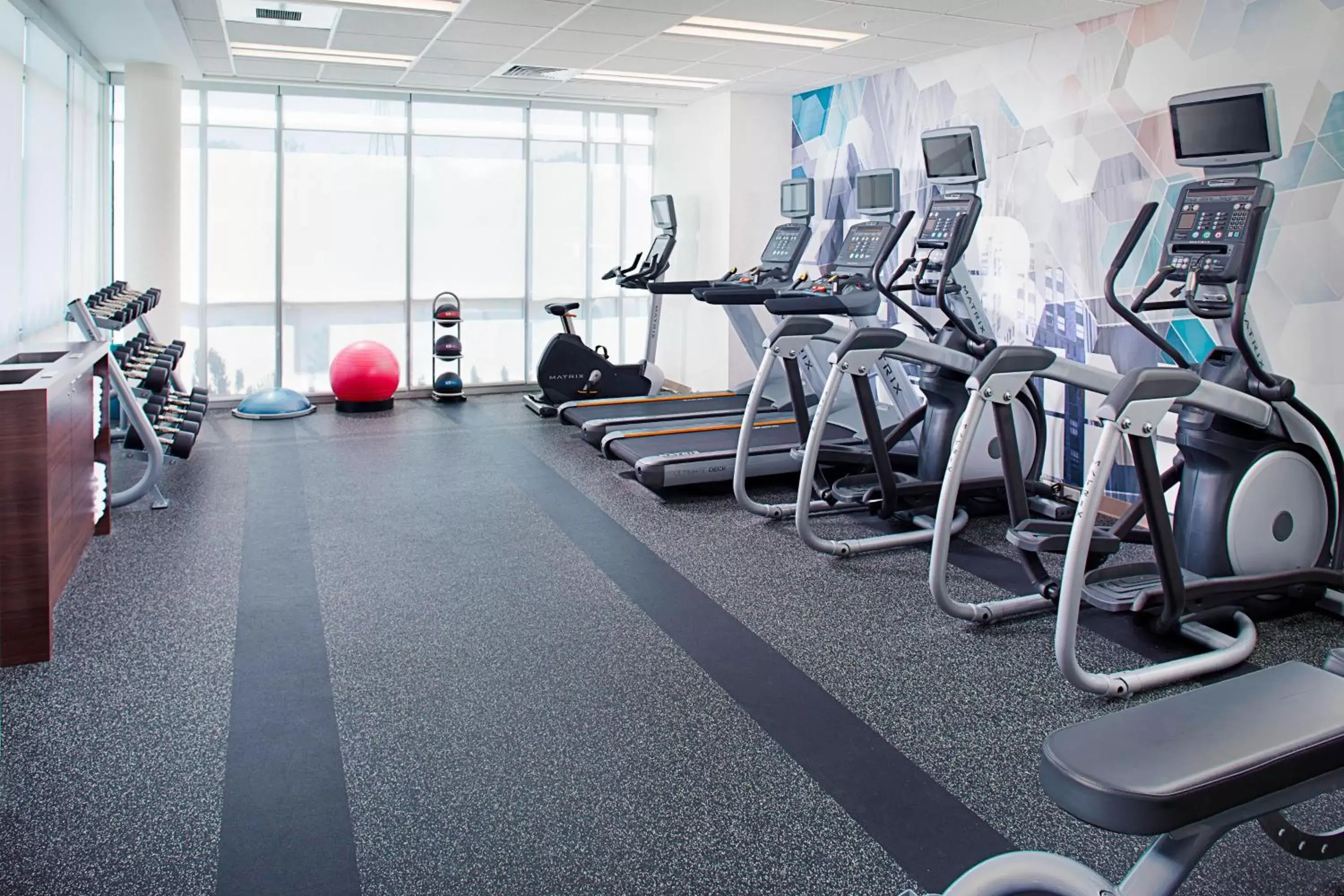 Fitness centre/facilities, Fitness Center/Facilities in SpringHill Suites by Marriott Carle Place Garden City