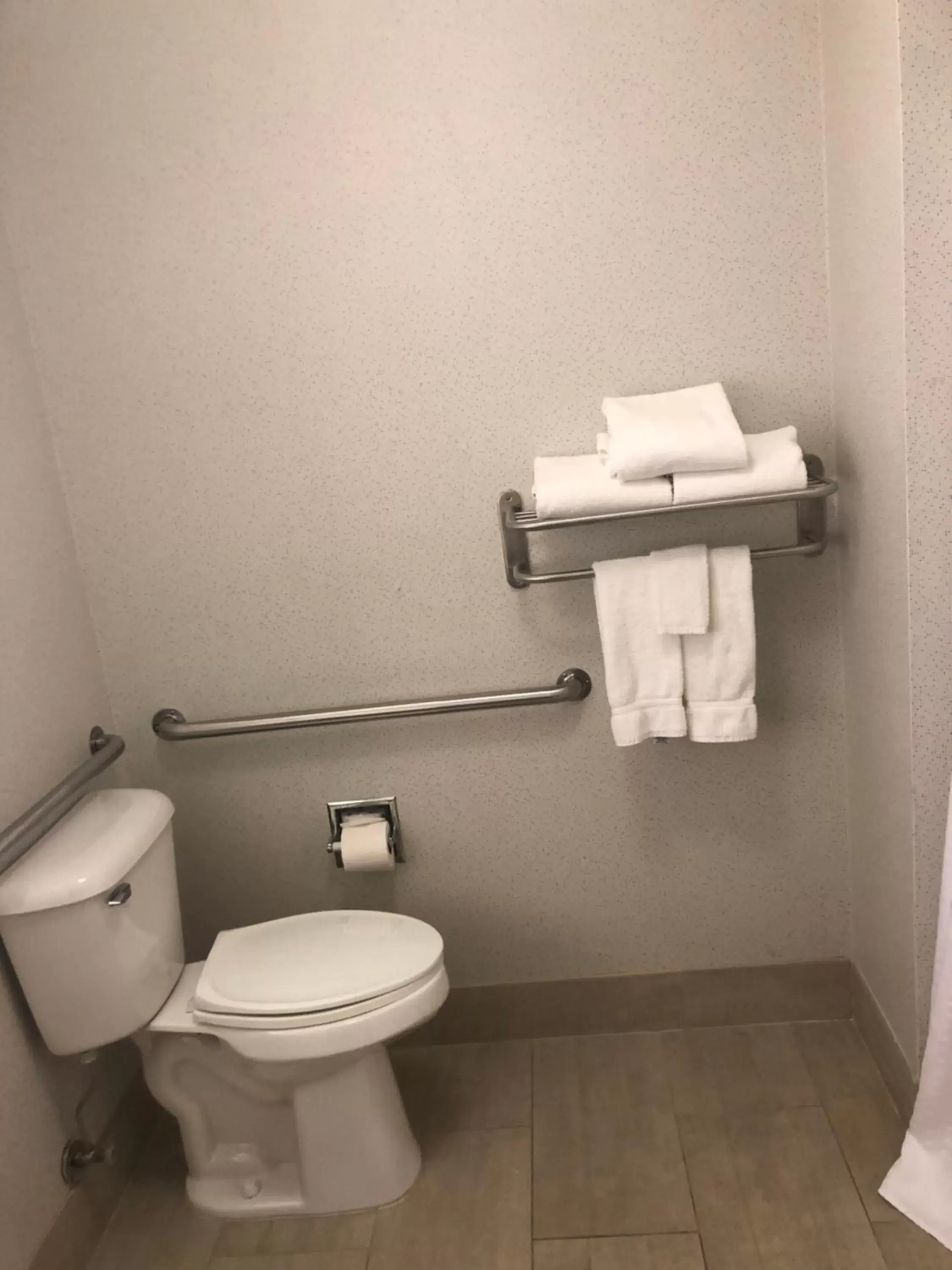 Toilet, Bathroom in Holiday Inn Express Mt. Vernon, an IHG Hotel