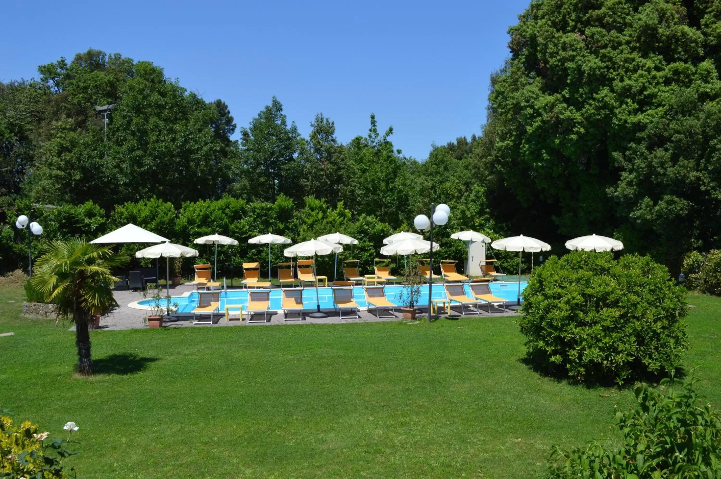 Garden, Swimming Pool in Hotel Monti