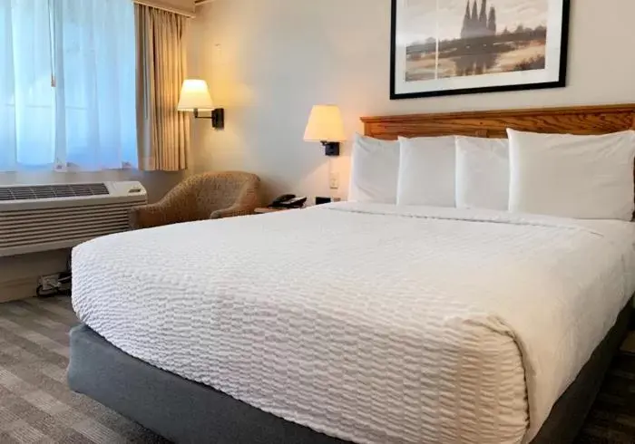 Accessible Queen Room - Ground Floor in Coachman Inn Oak Harbor Accessible Queen Room - Ground Floor in Coachman Inn Oak Harbor