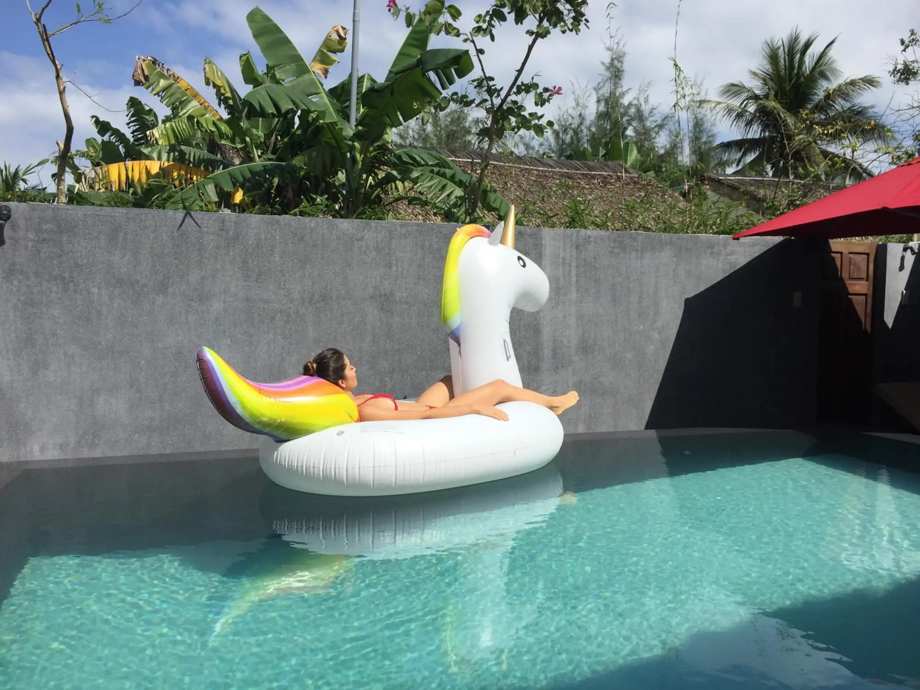 Swimming Pool in Palm View Villa