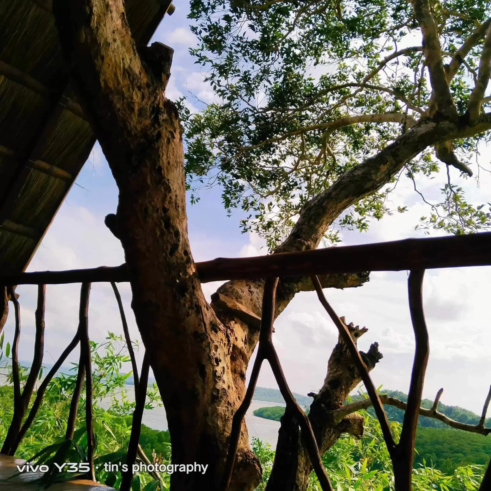 Sanctuaria Treehouses Busuanga