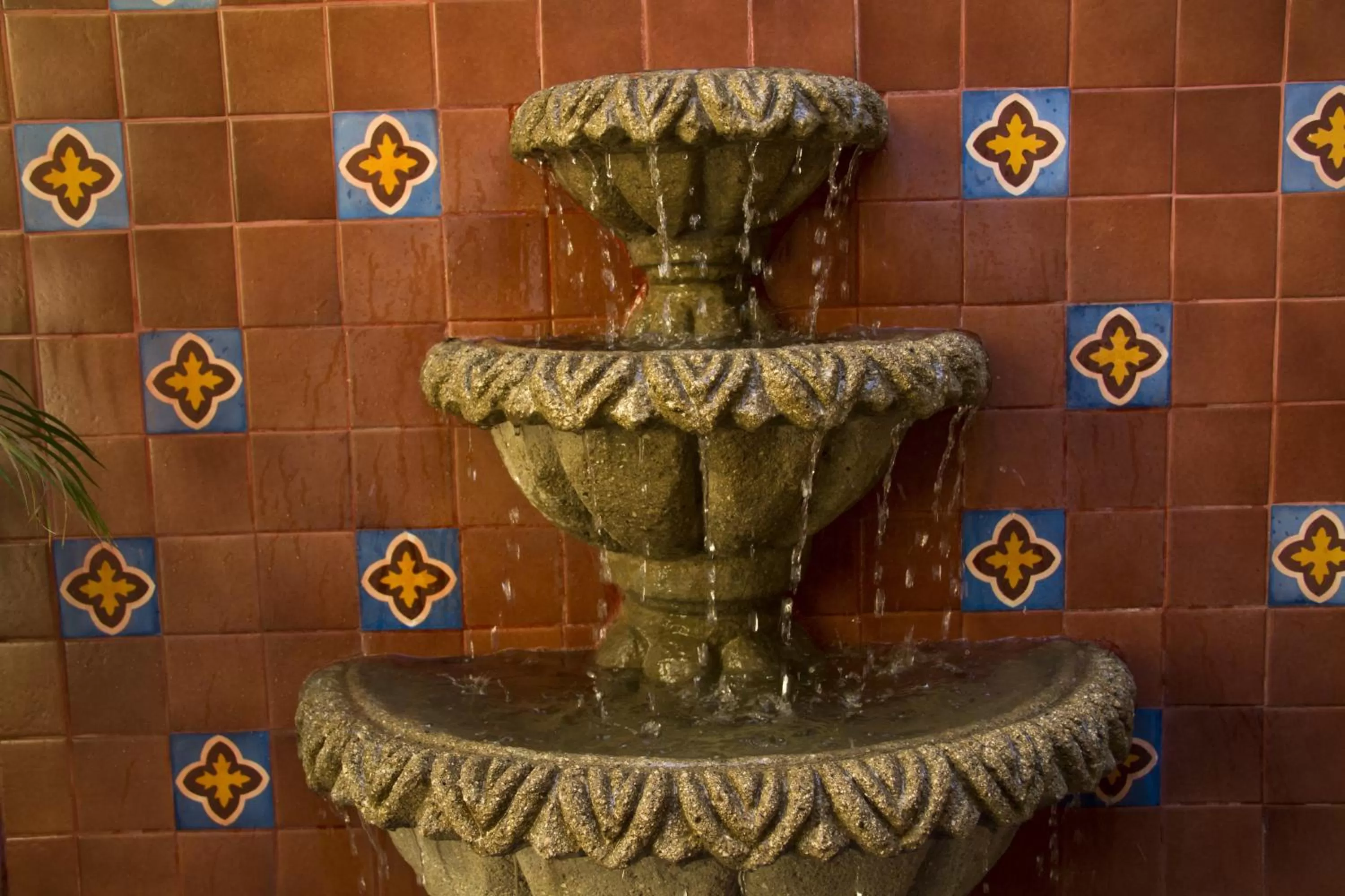 Balcony/Terrace in Hotel Colibri