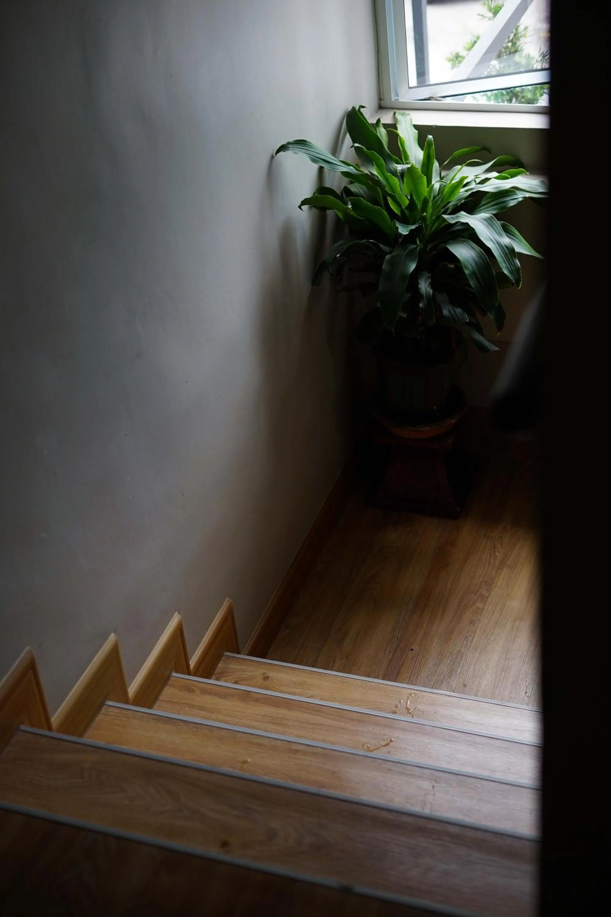 Amoris Grand Event Space