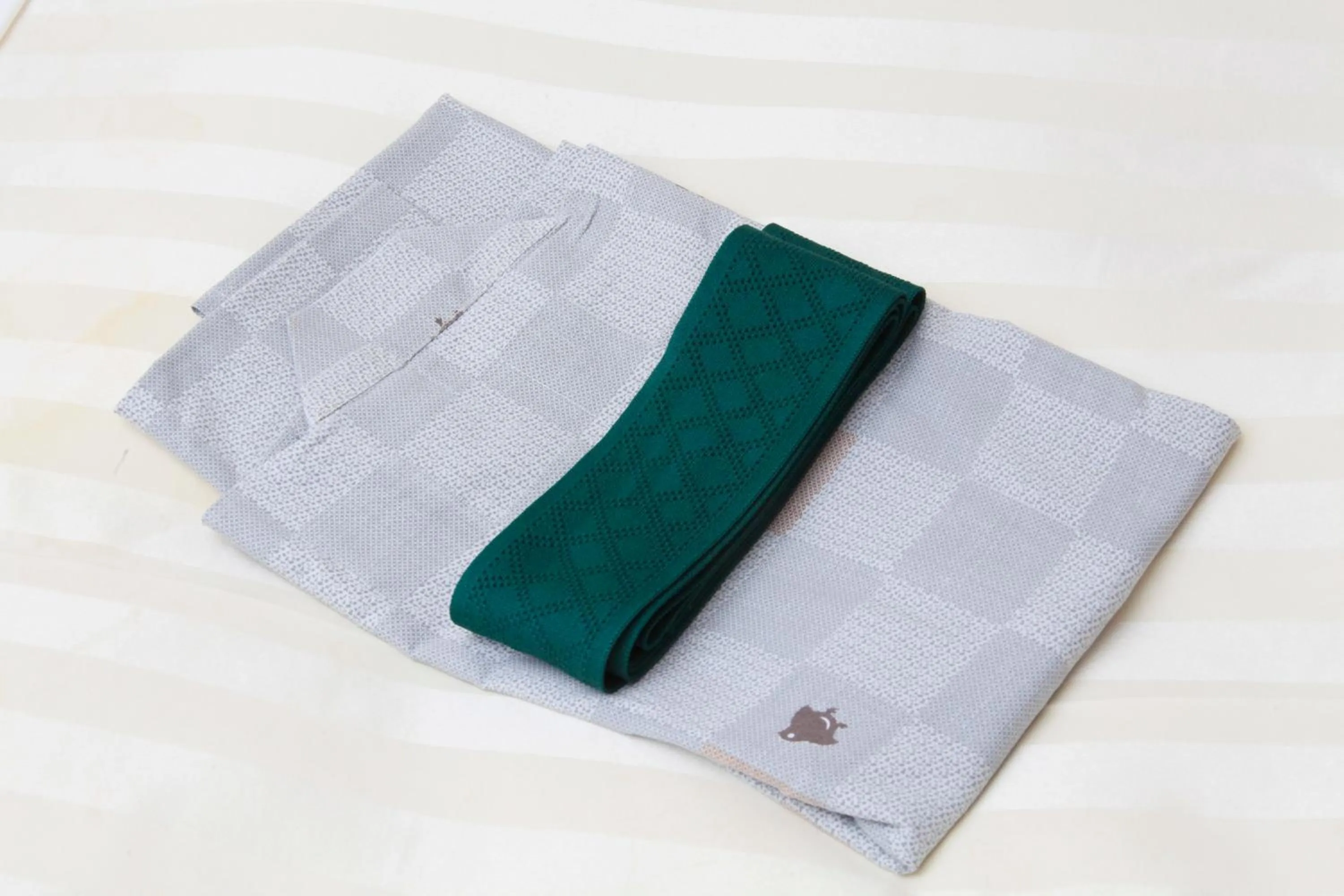 Photo of the whole room in Fuji Green Hotel